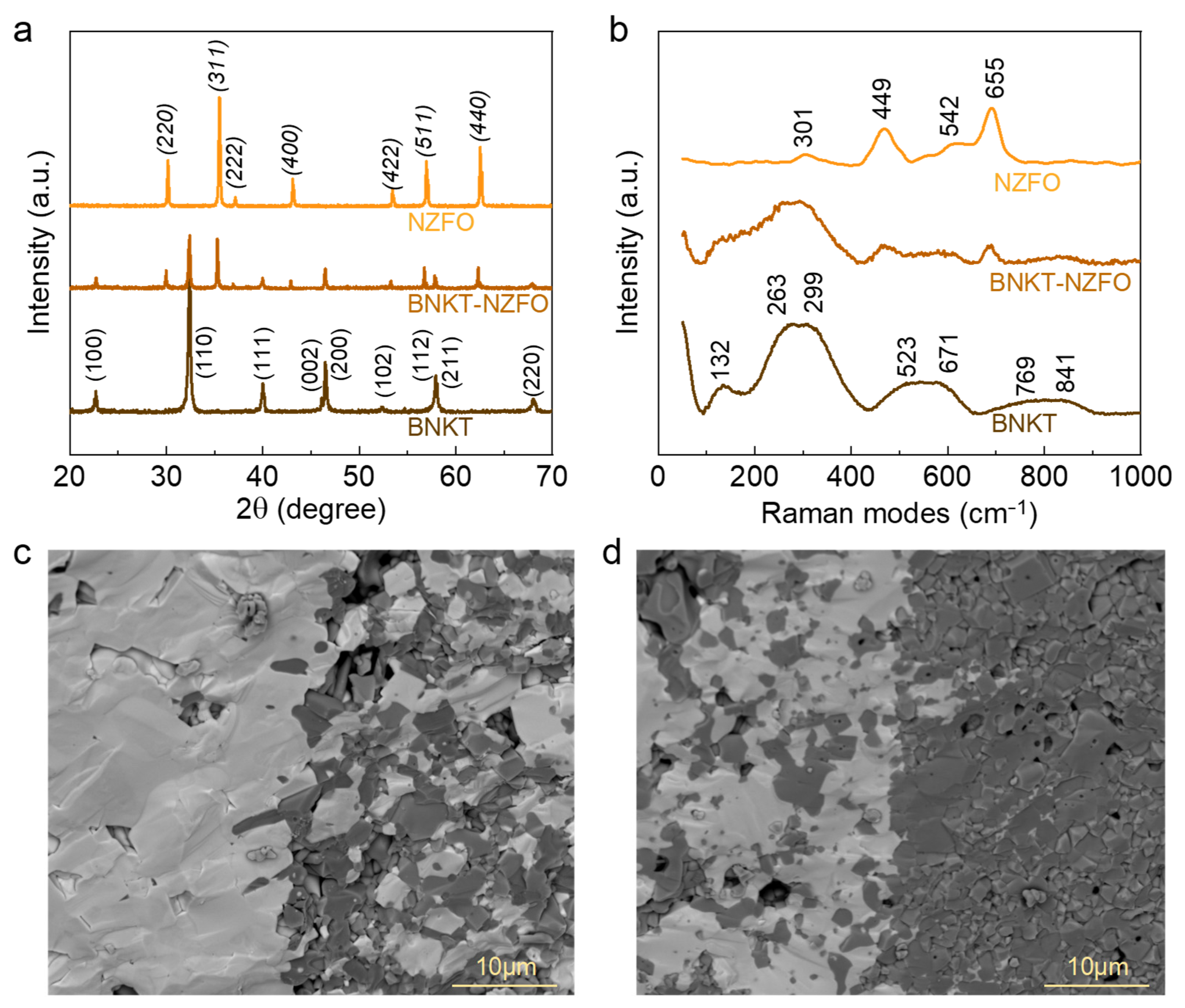 Magnetochemistry 09 00050 g001