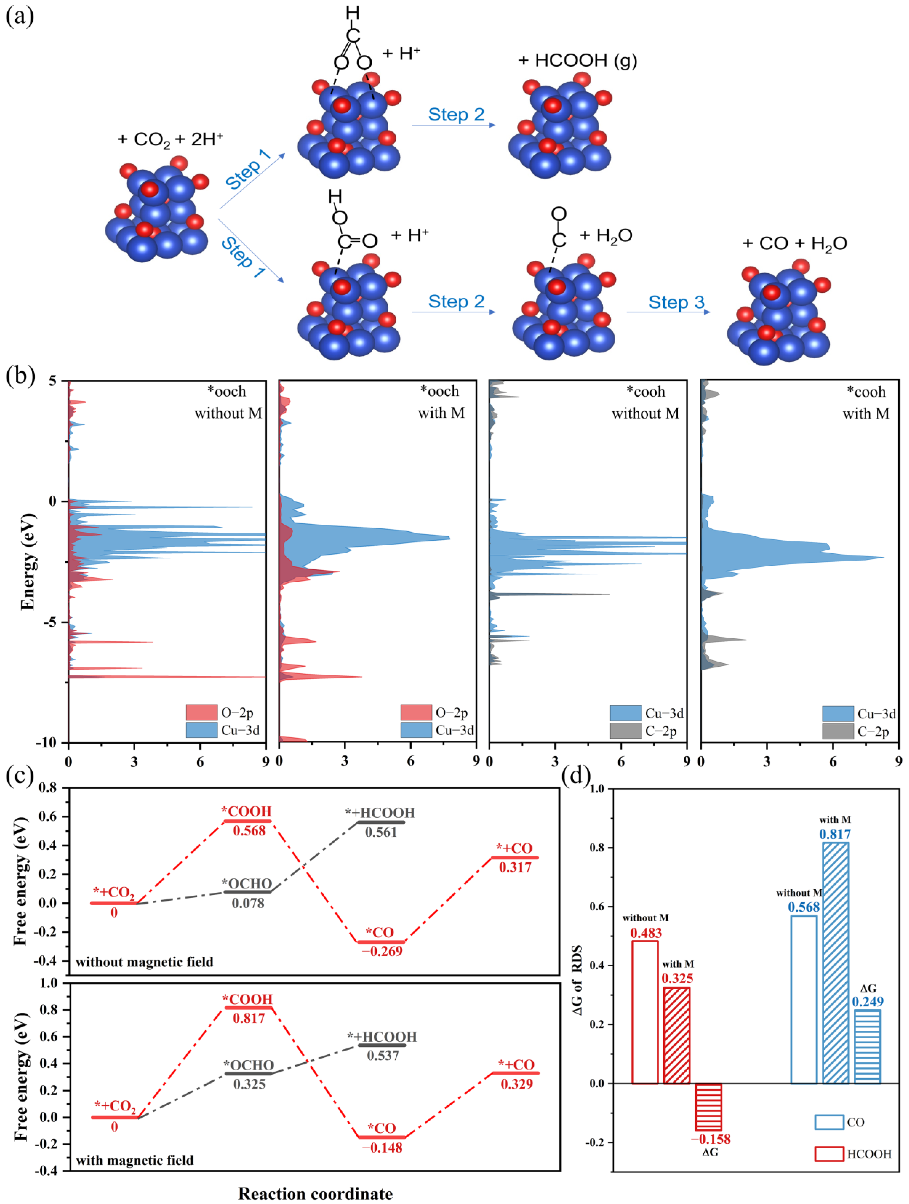 Magnetochemistry 09 00065 g004