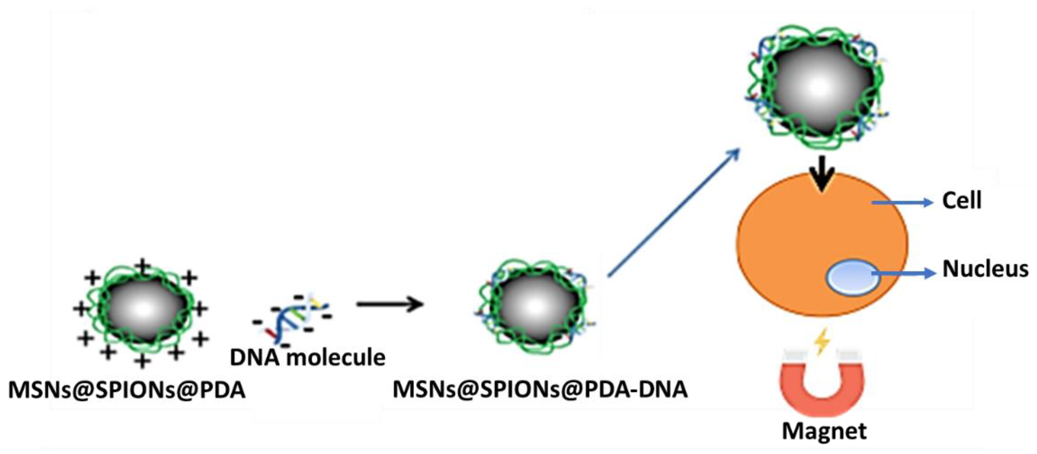 Magnetochemistry 09 00067 g003 Magnetochemistry 09 00067 g003