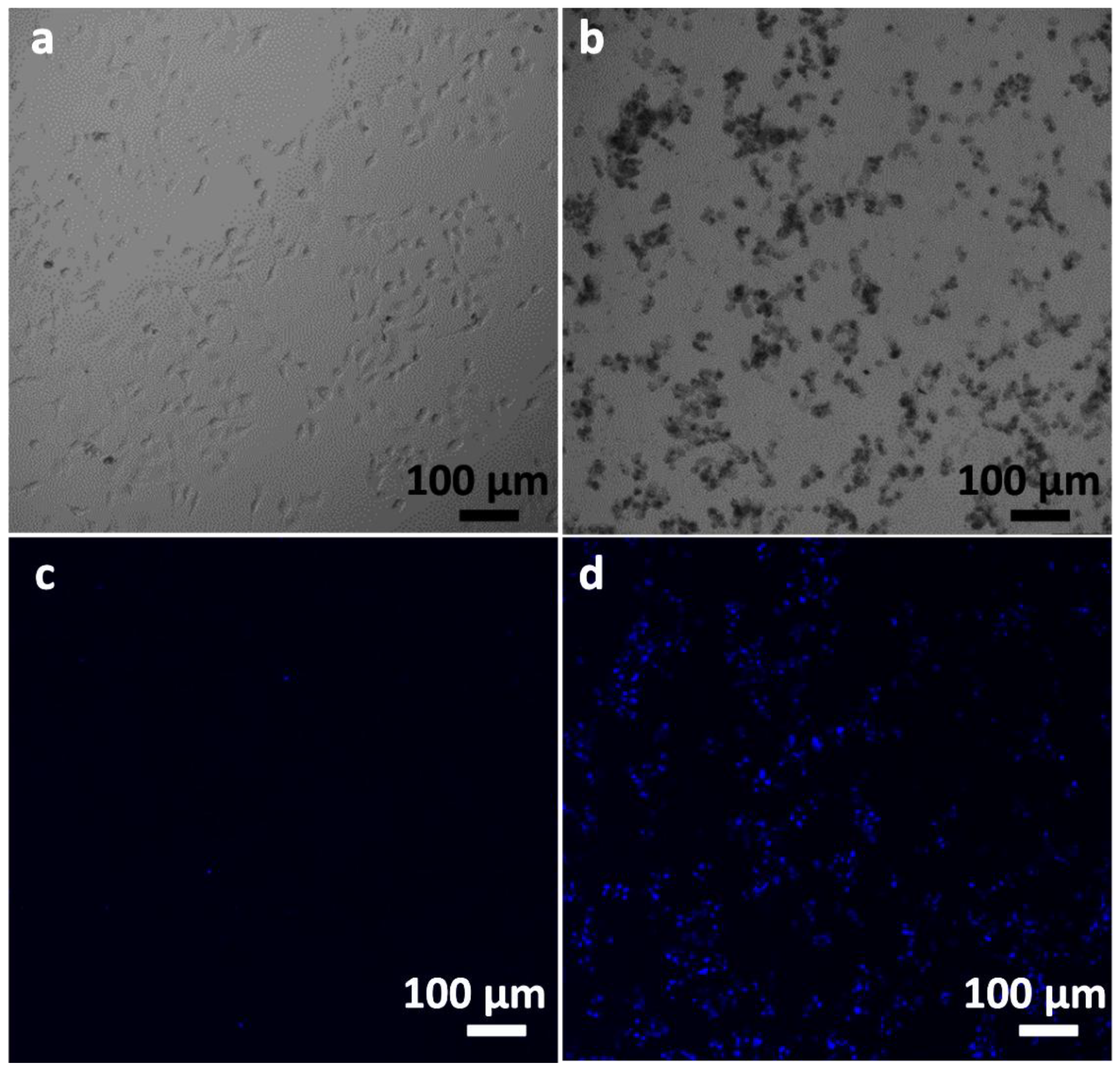 Magnetochemistry 09 00067 g008 Magnetochemistry 09 00067 g008