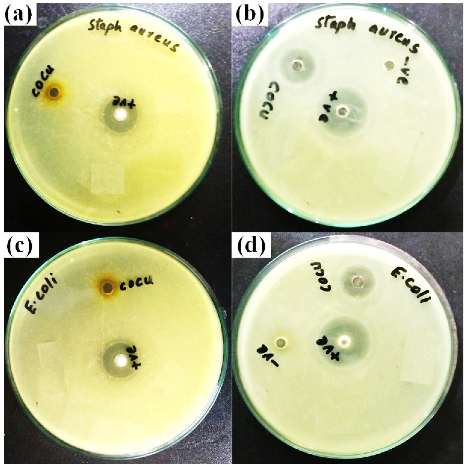 Magnetochemistry 09 00068 g009