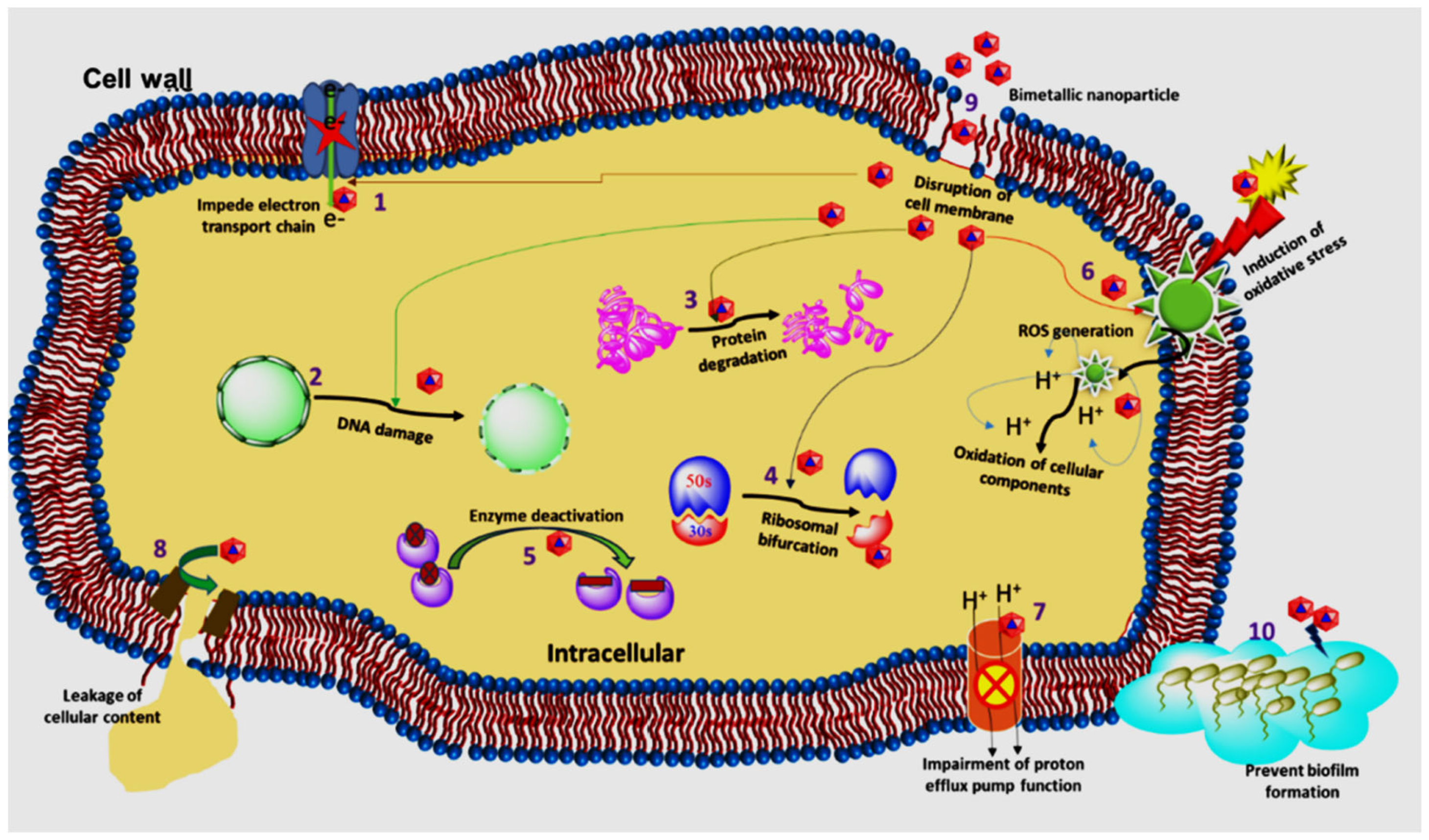 Magnetochemistry 09 00068 g010
