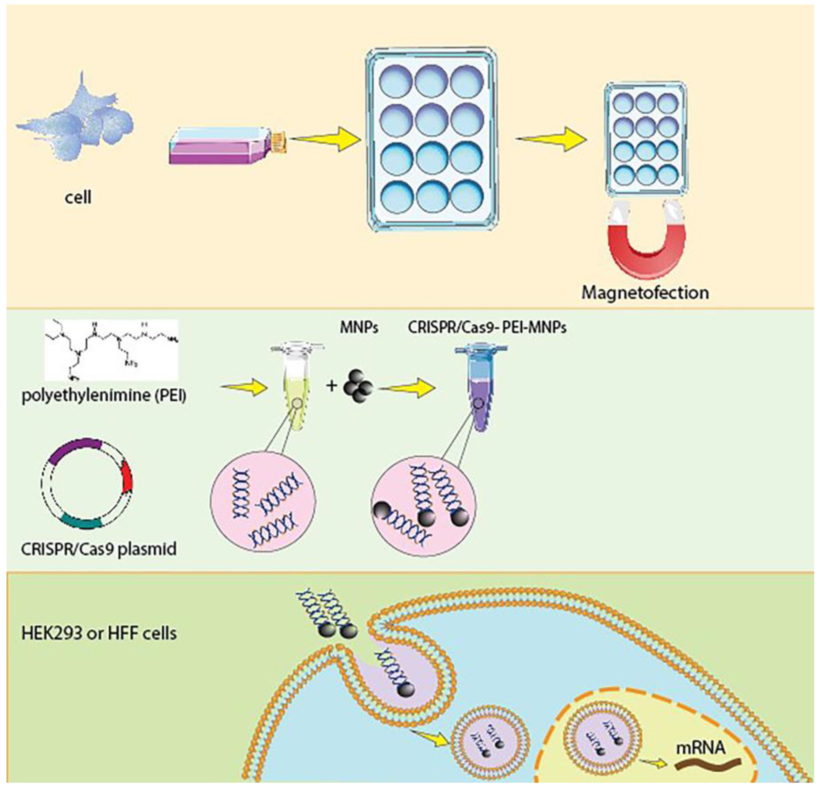 Magnetochemistry 09 00071 g001