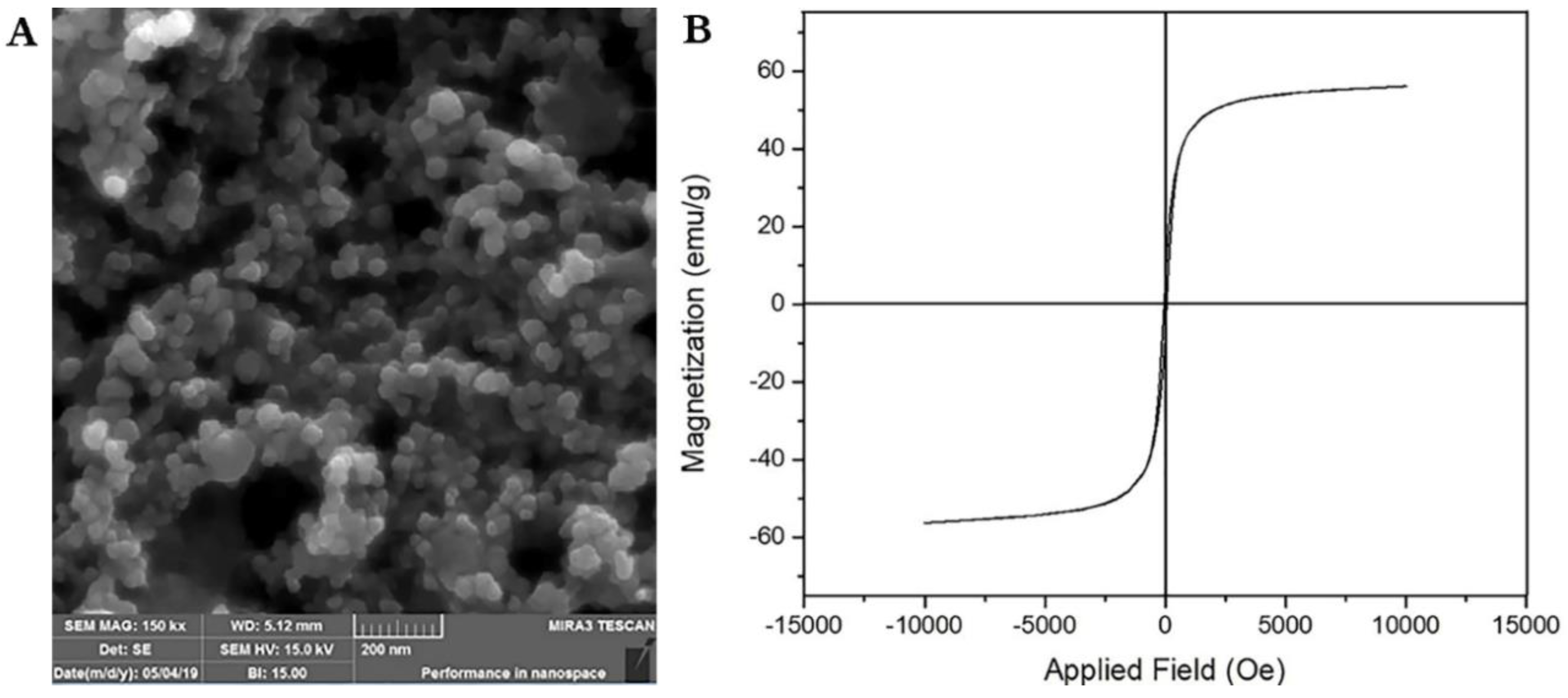 Magnetochemistry 09 00071 g003