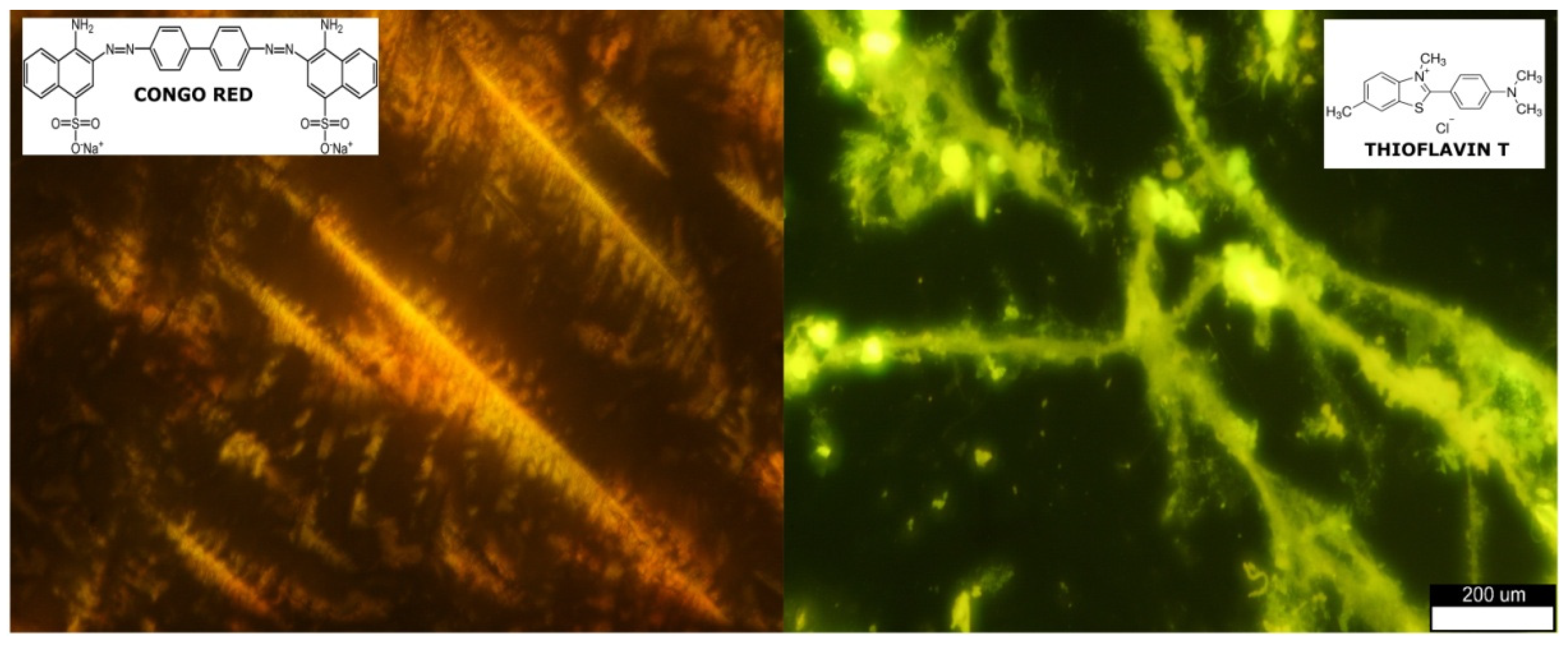 Magnetochemistry 09 00084 g003 Magnetochemistry 09 00084 g003