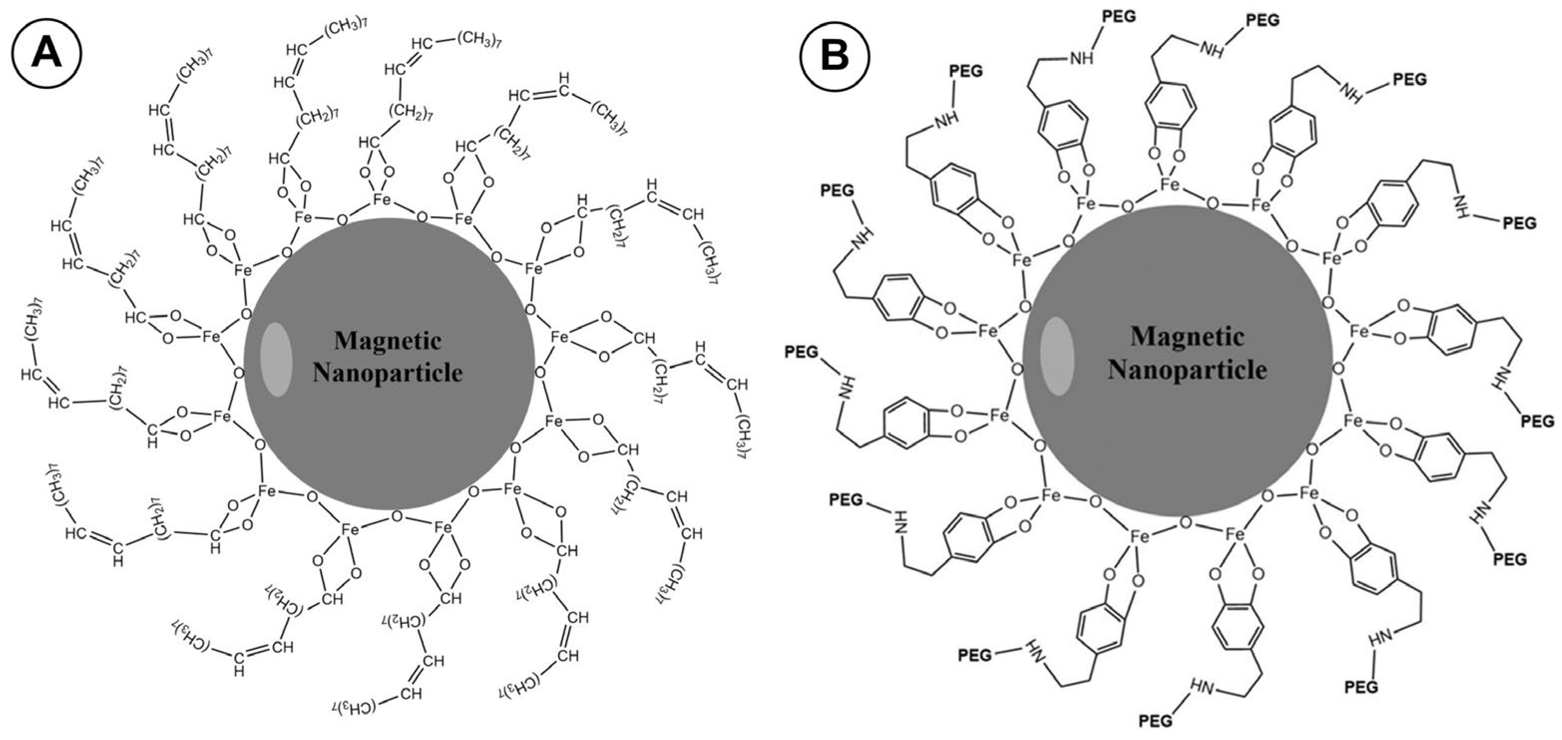 Magnetochemistry 09 00099 g003