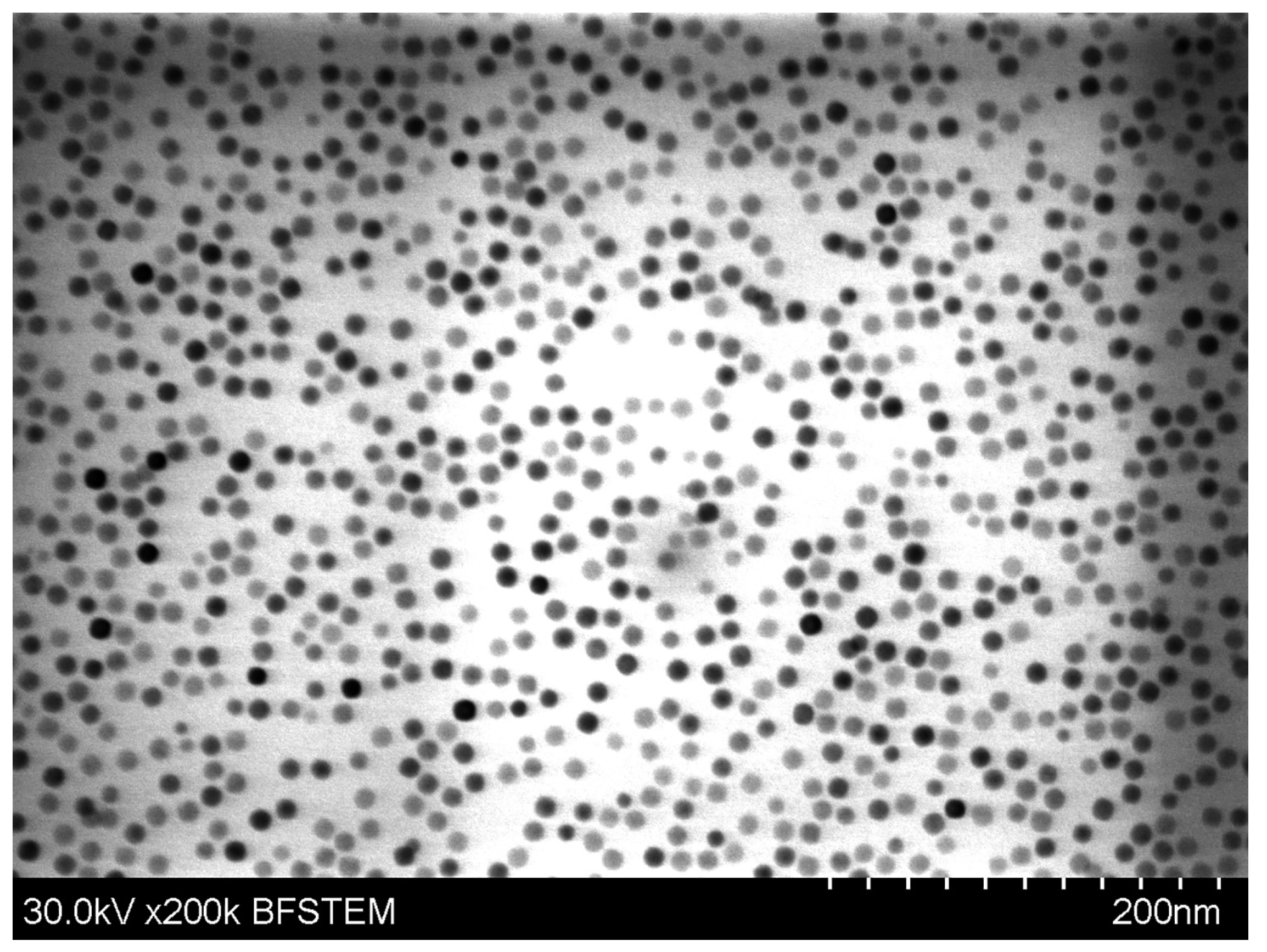 Magnetochemistry 09 00099 g004