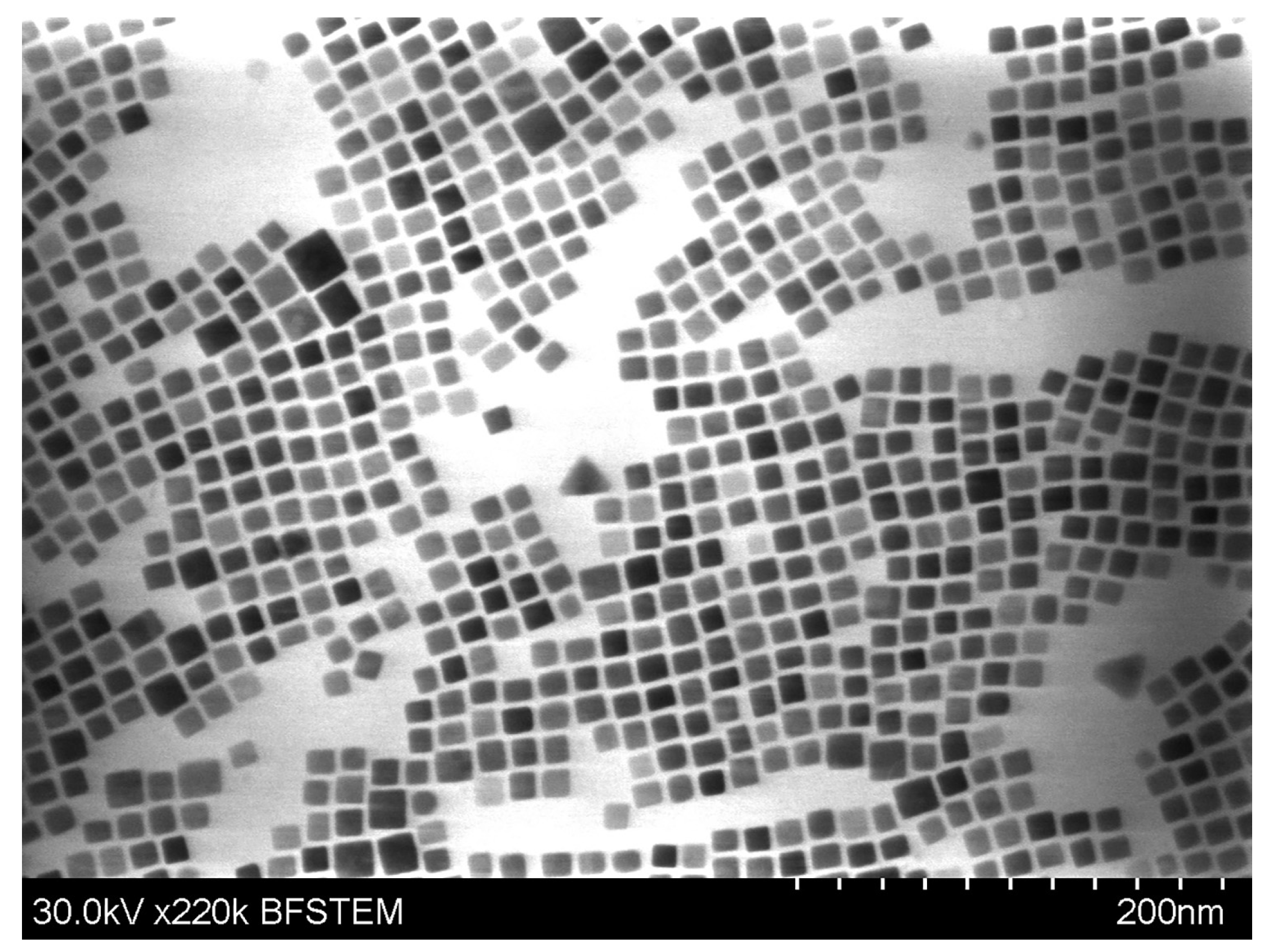 Magnetochemistry 09 00099 g005