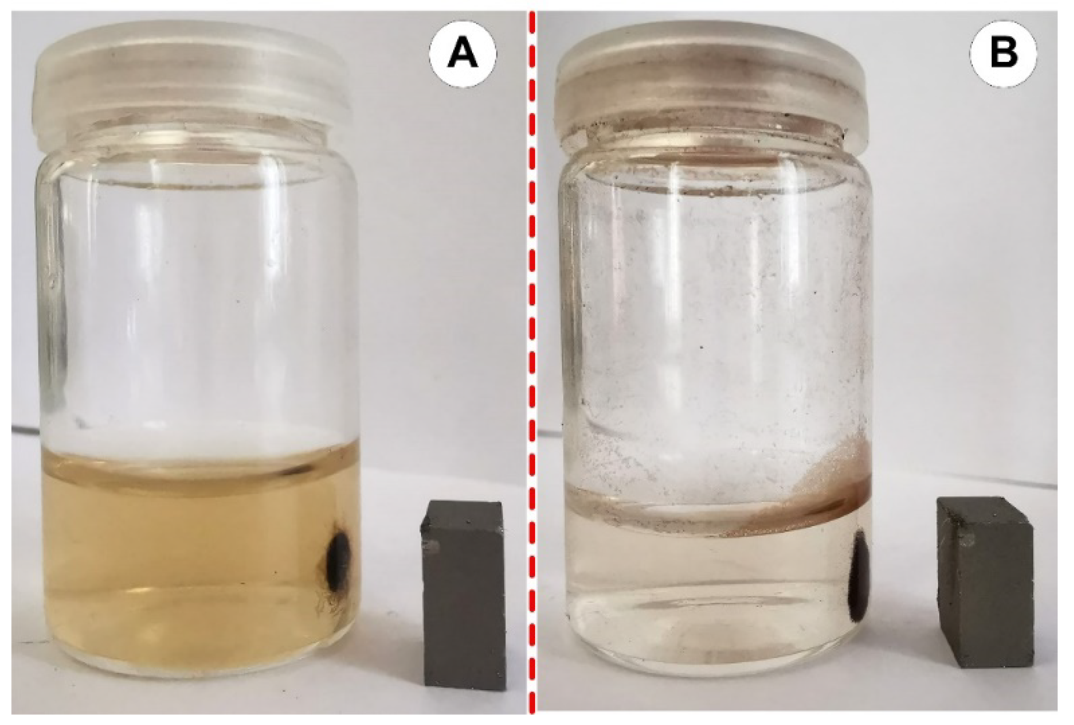 Magnetochemistry 09 00099 g010