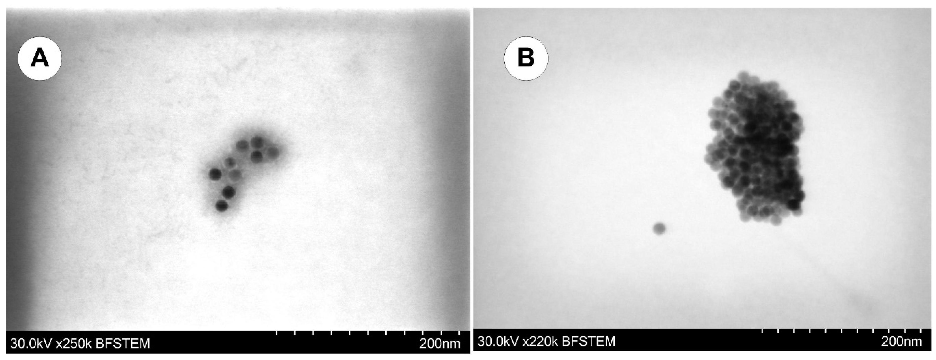 Magnetochemistry 09 00099 g015