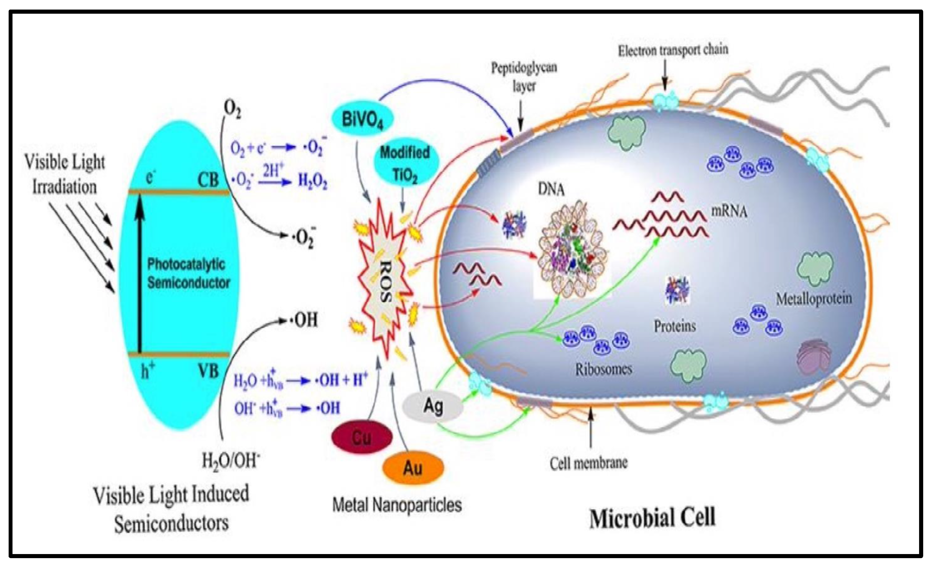 Magnetochemistry 09 00127 g012