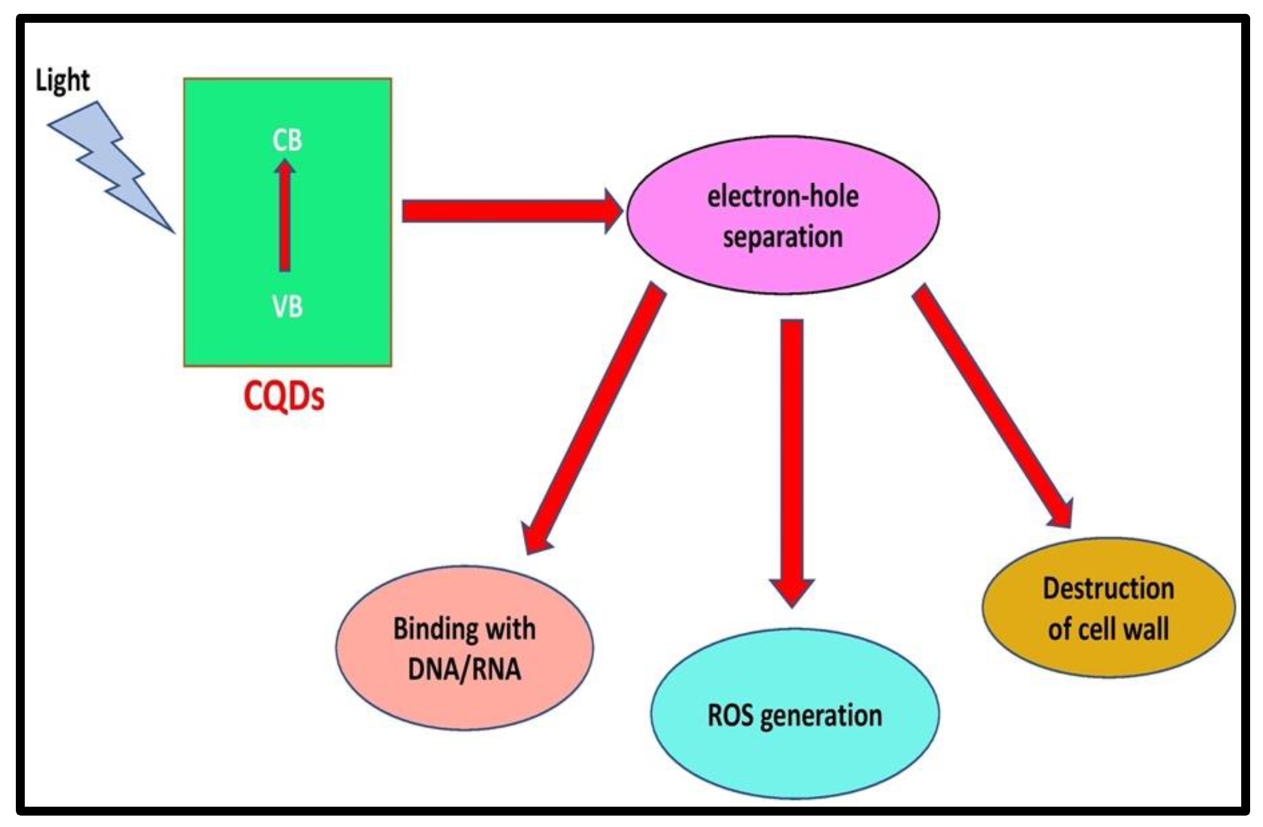 Magnetochemistry 09 00127 g014