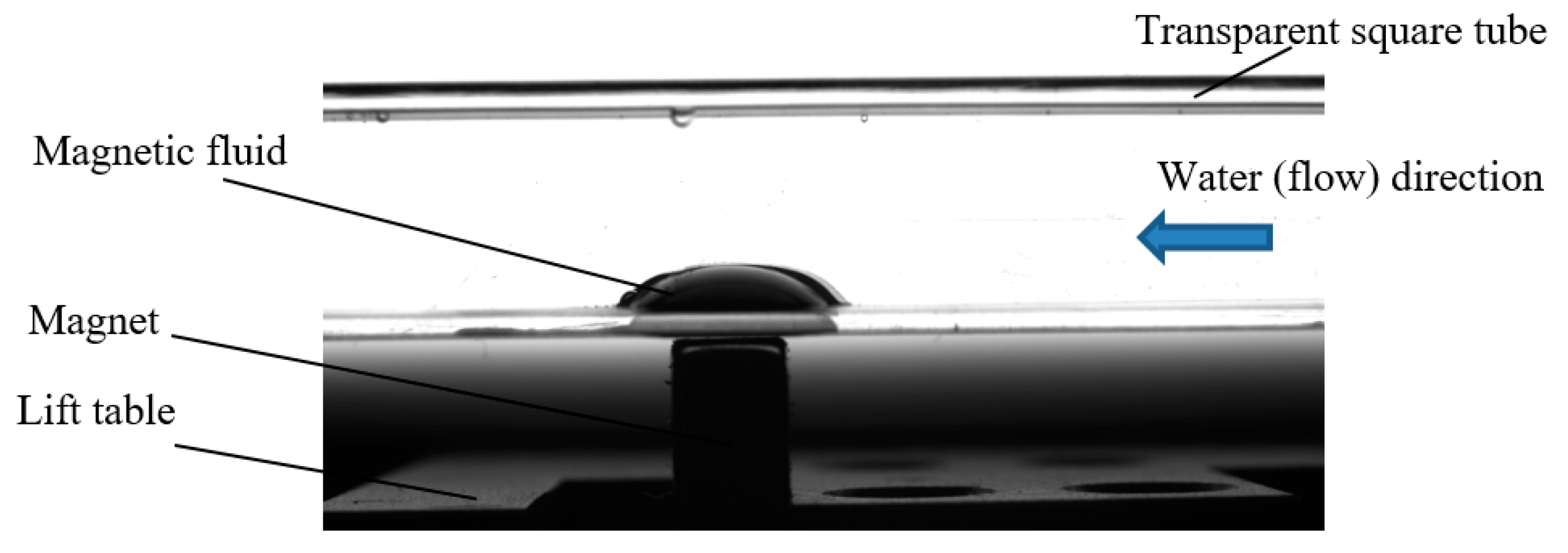 Magnetochemistry 09 00134 g003