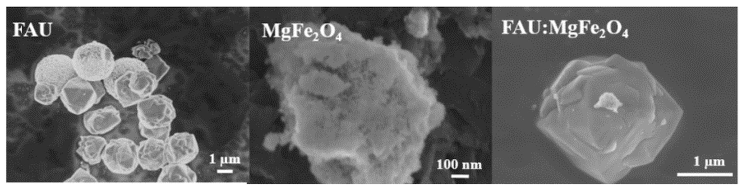 Magnetochemistry 09 00136 g002