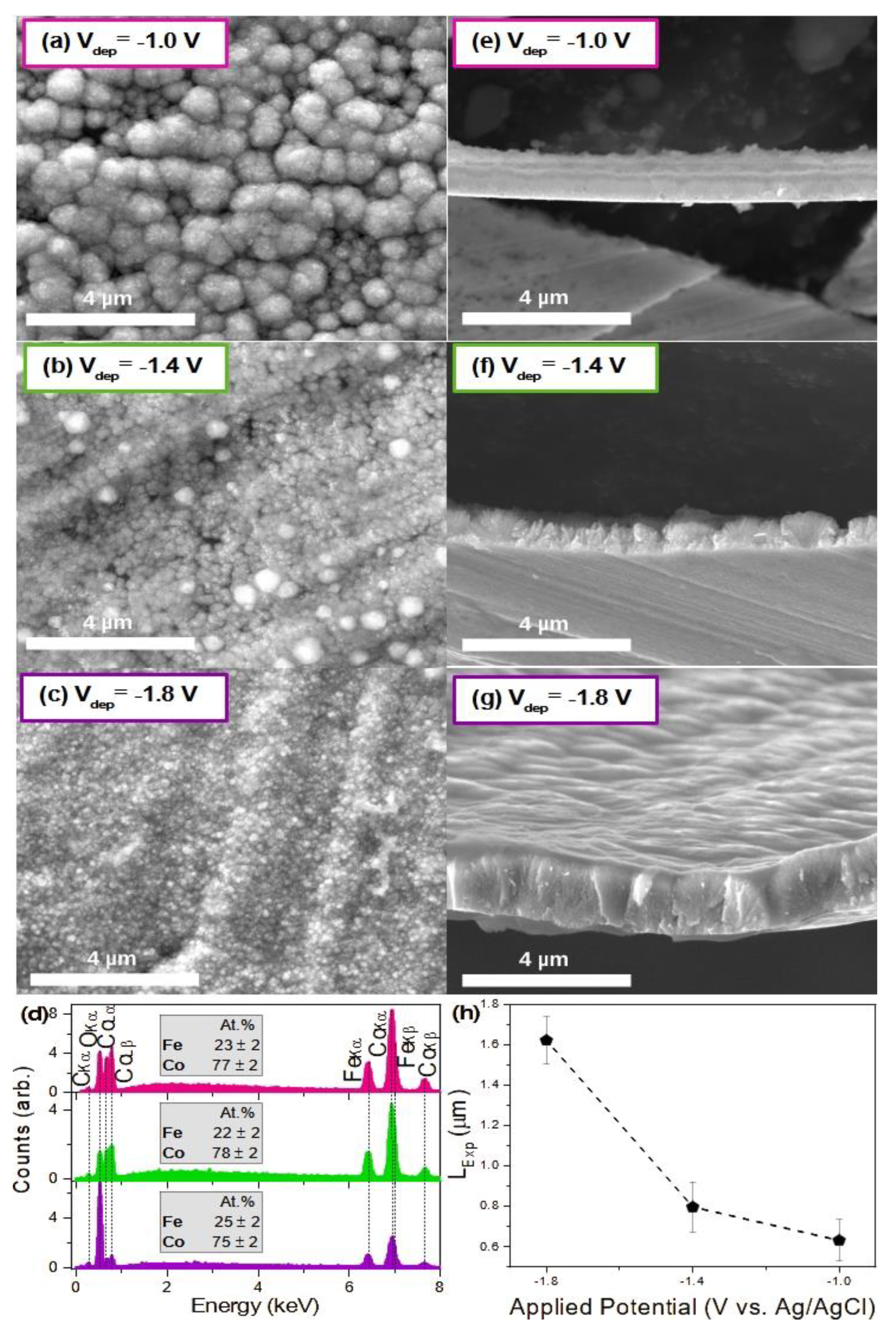 Magnetochemistry 09 00161 g004