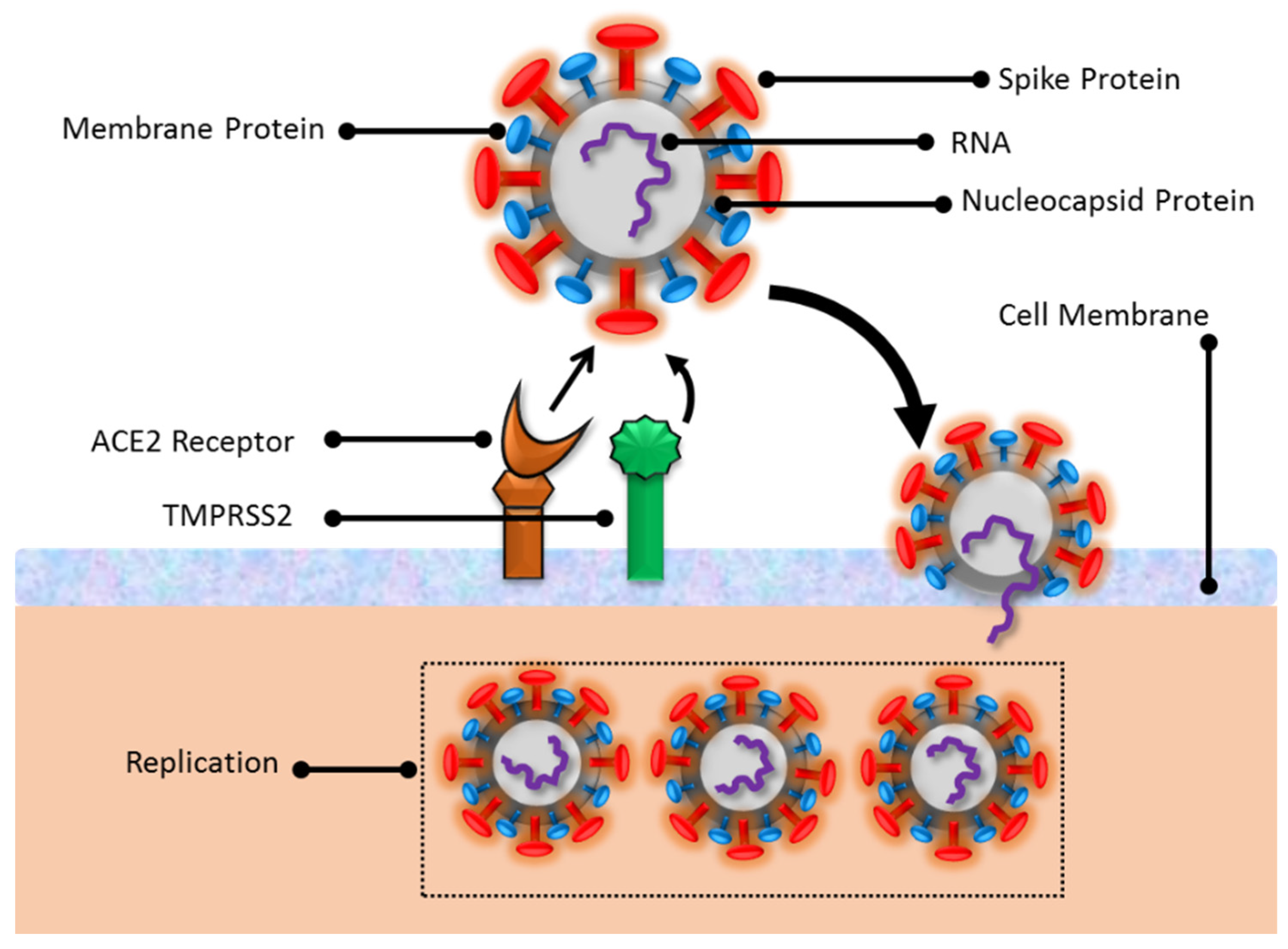 Magnetochemistry 09 00171 g001