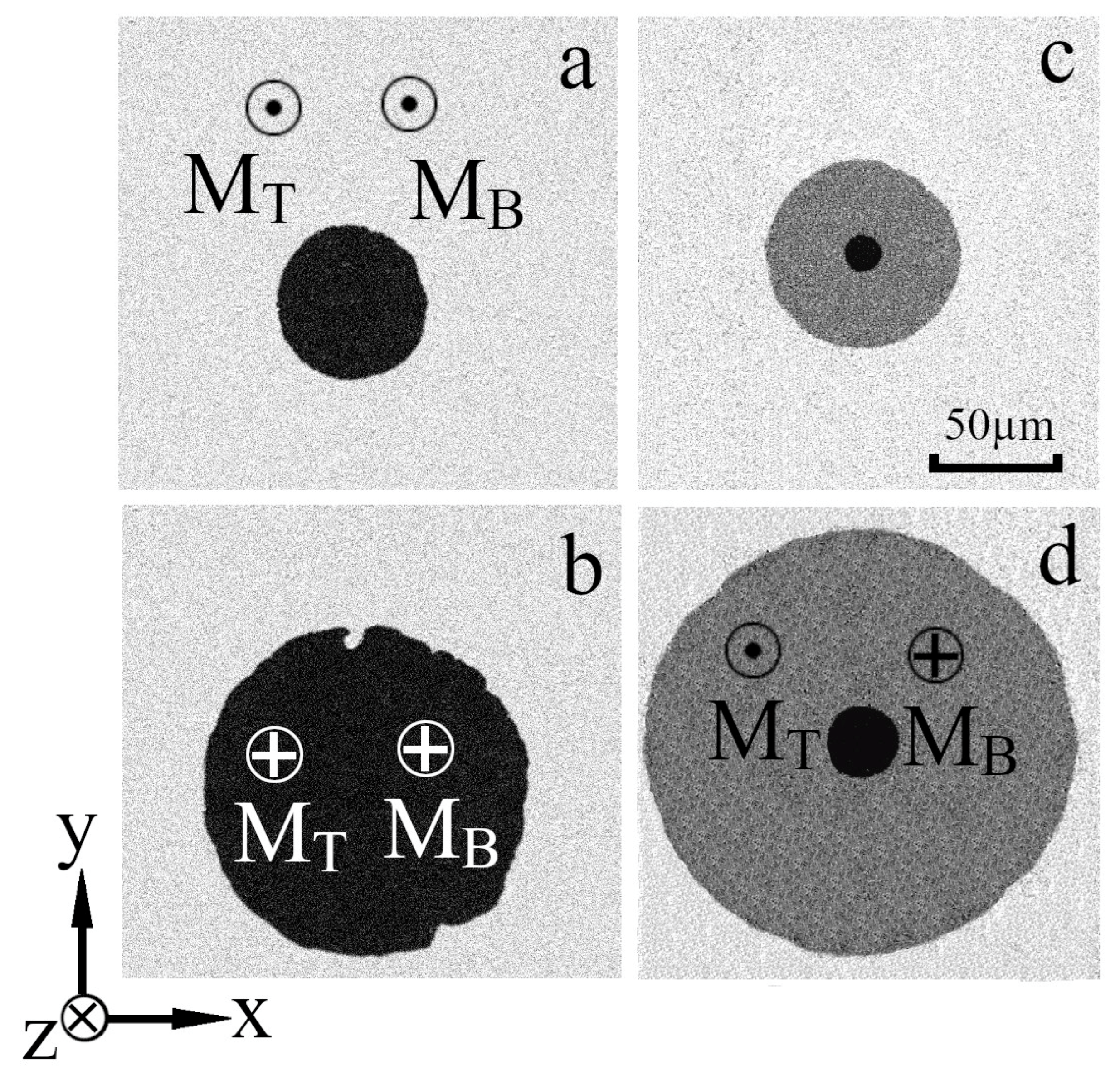 Magnetochemistry 09 00176 g001 Magnetochemistry 09 00176 g001