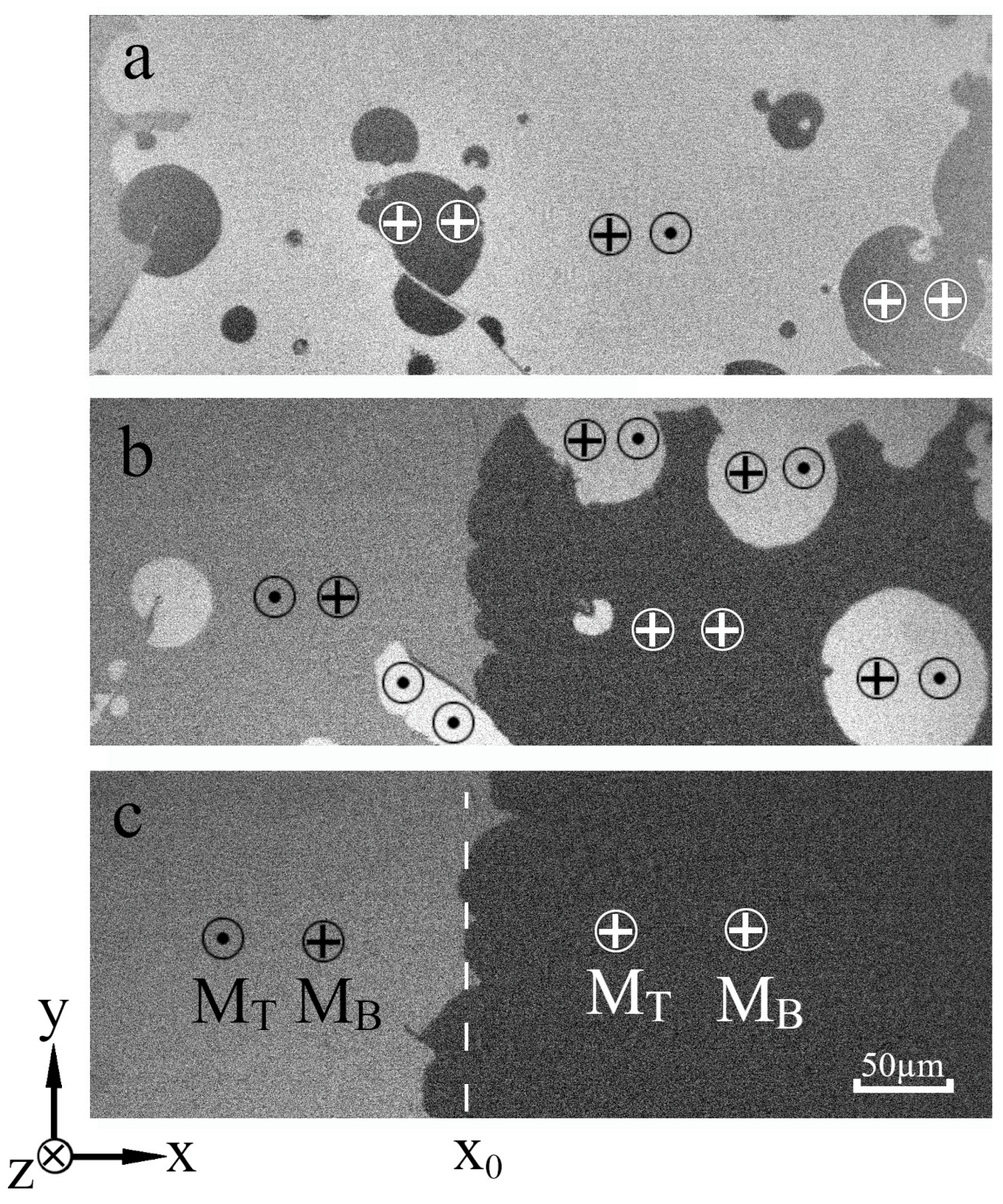 Magnetochemistry 09 00176 g002 Magnetochemistry 09 00176 g002
