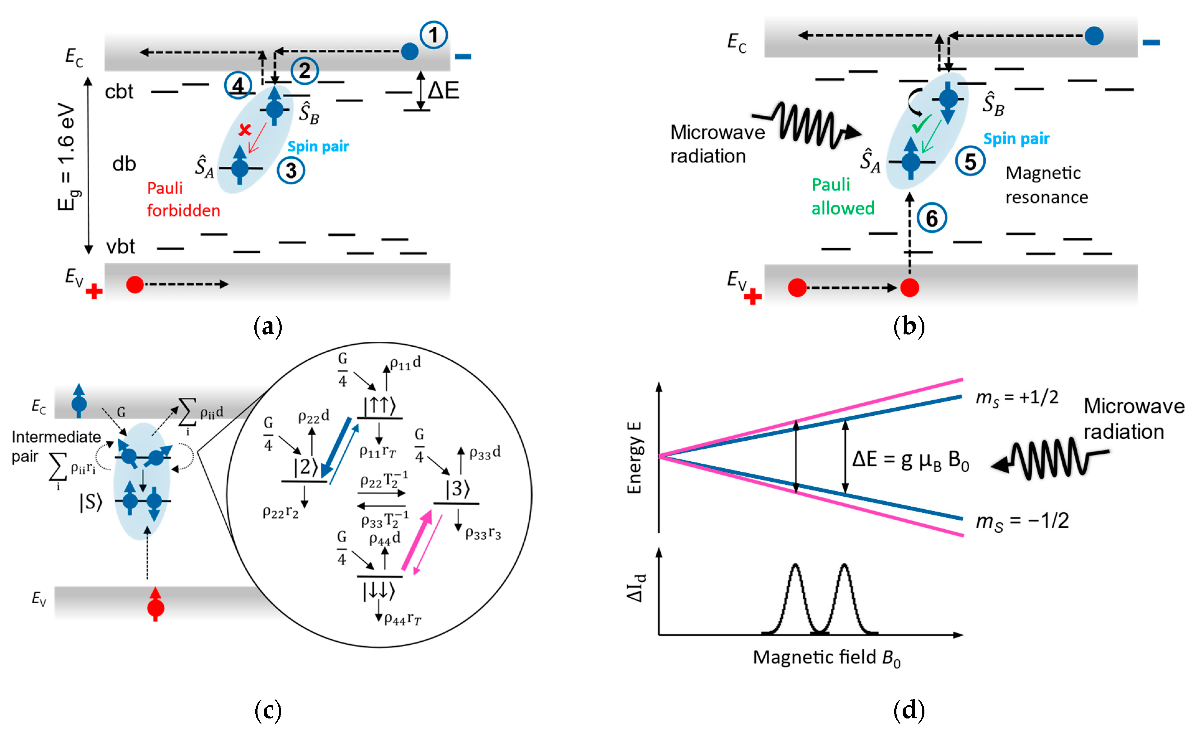 Magnetochemistry 09 00183 g001