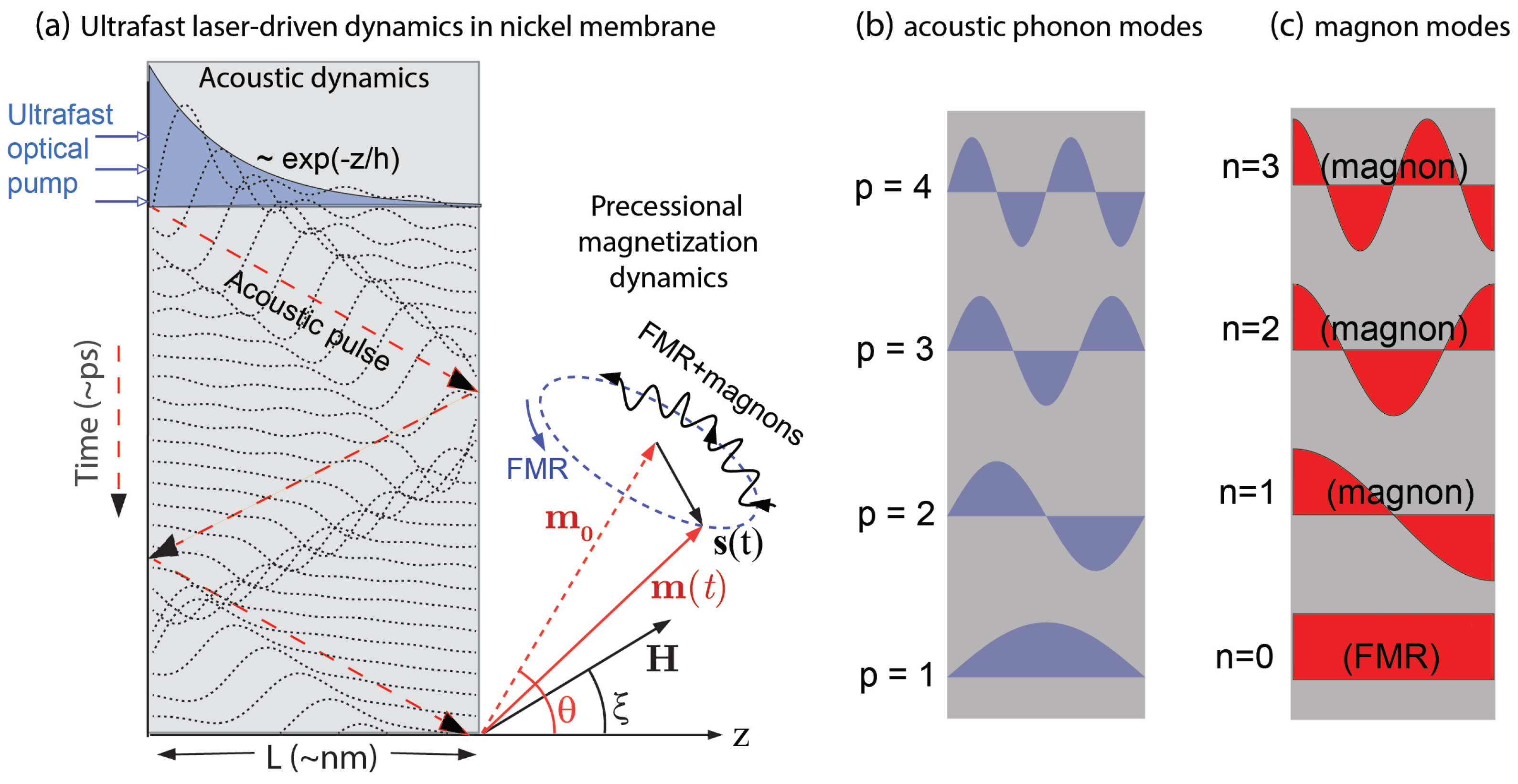Magnetochemistry 09 00184 g001
