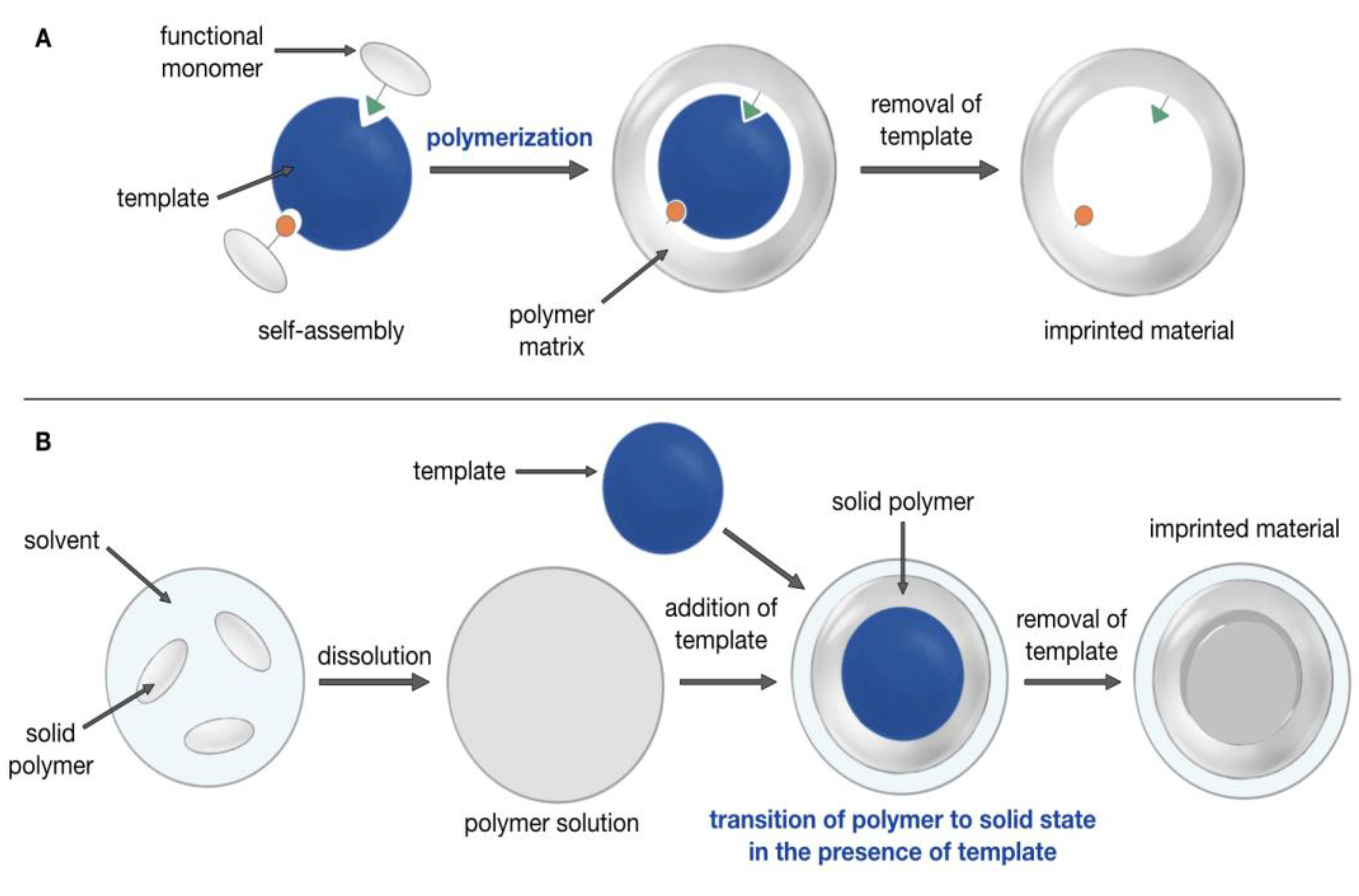 Magnetochemistry 09 00196 g001