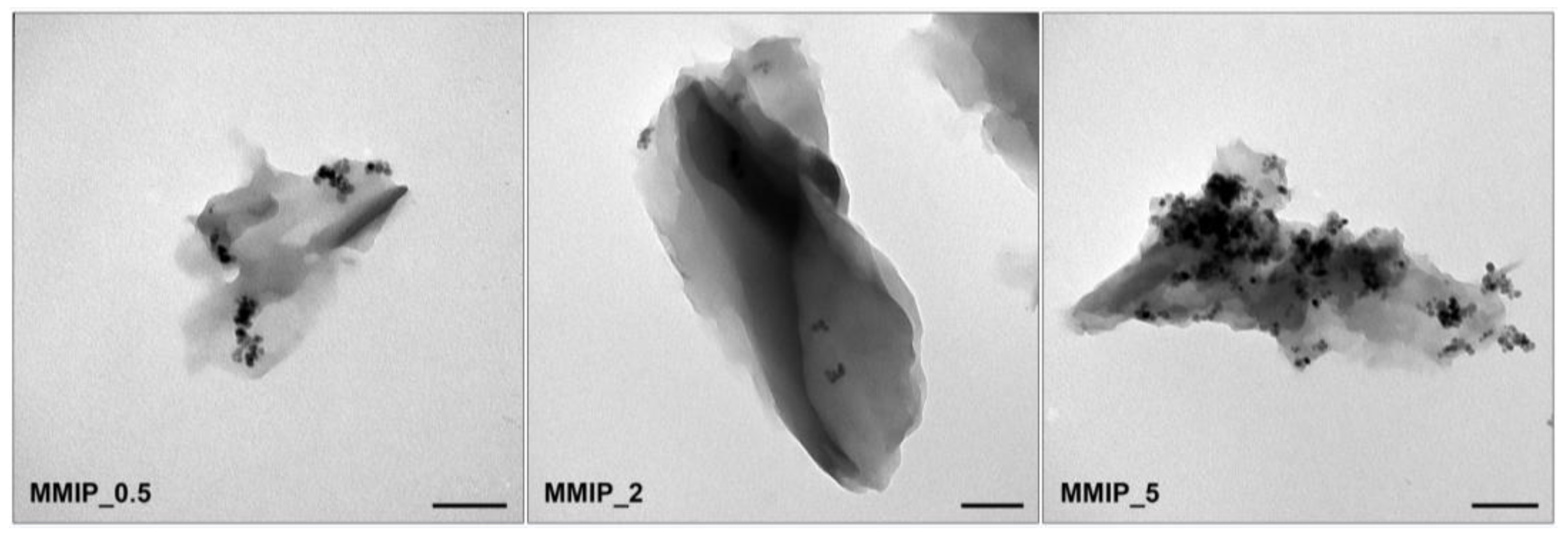 Magnetochemistry 09 00196 g005