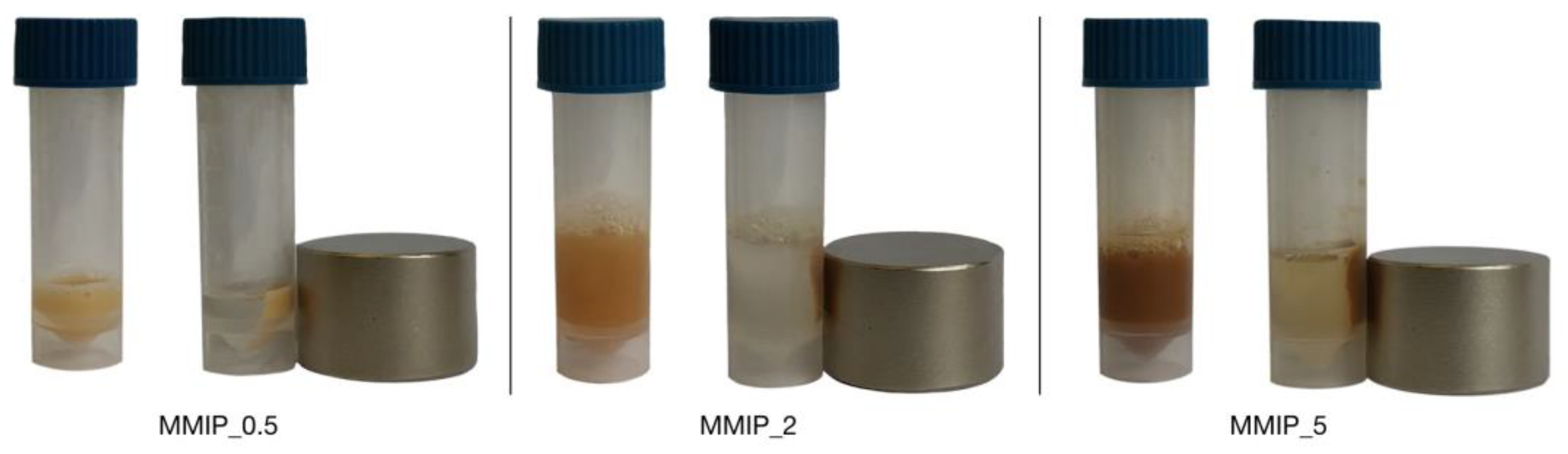 Magnetochemistry 09 00196 g009