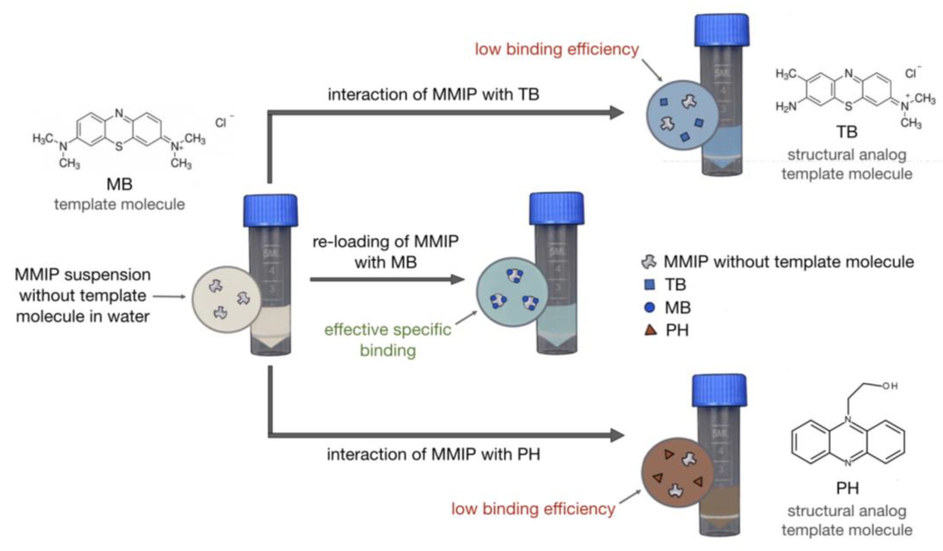 Magnetochemistry 09 00196 g013