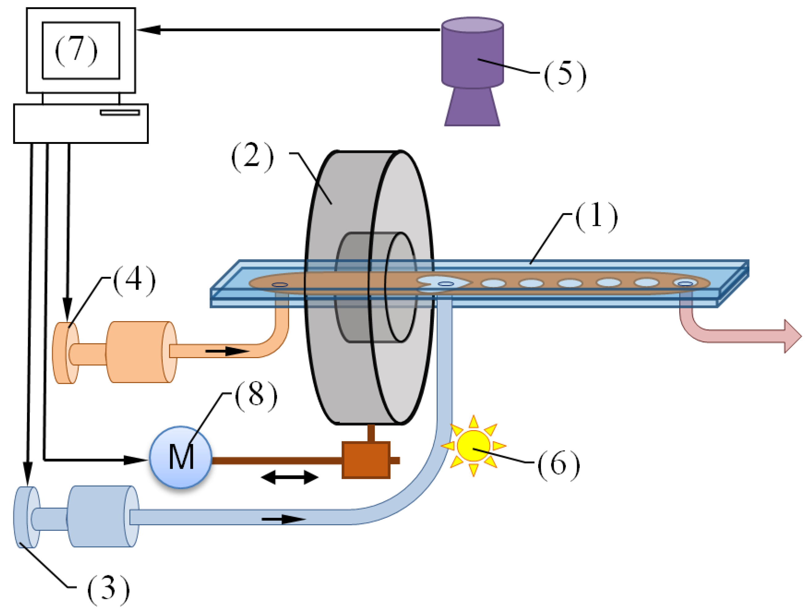 Magnetochemistry 09 00197 g001
