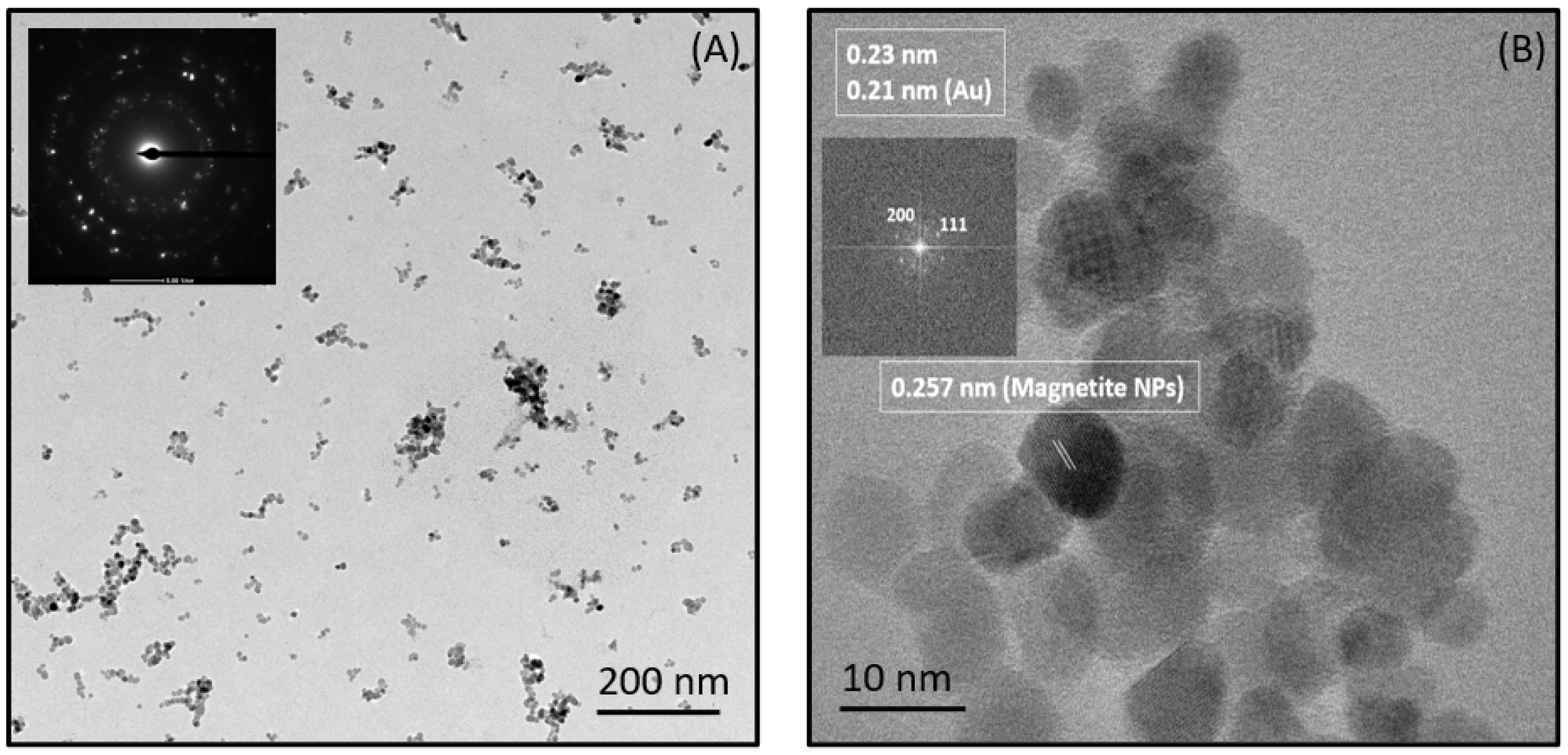 Magnetochemistry 09 00202 g008 Magnetochemistry 09 00202 g008