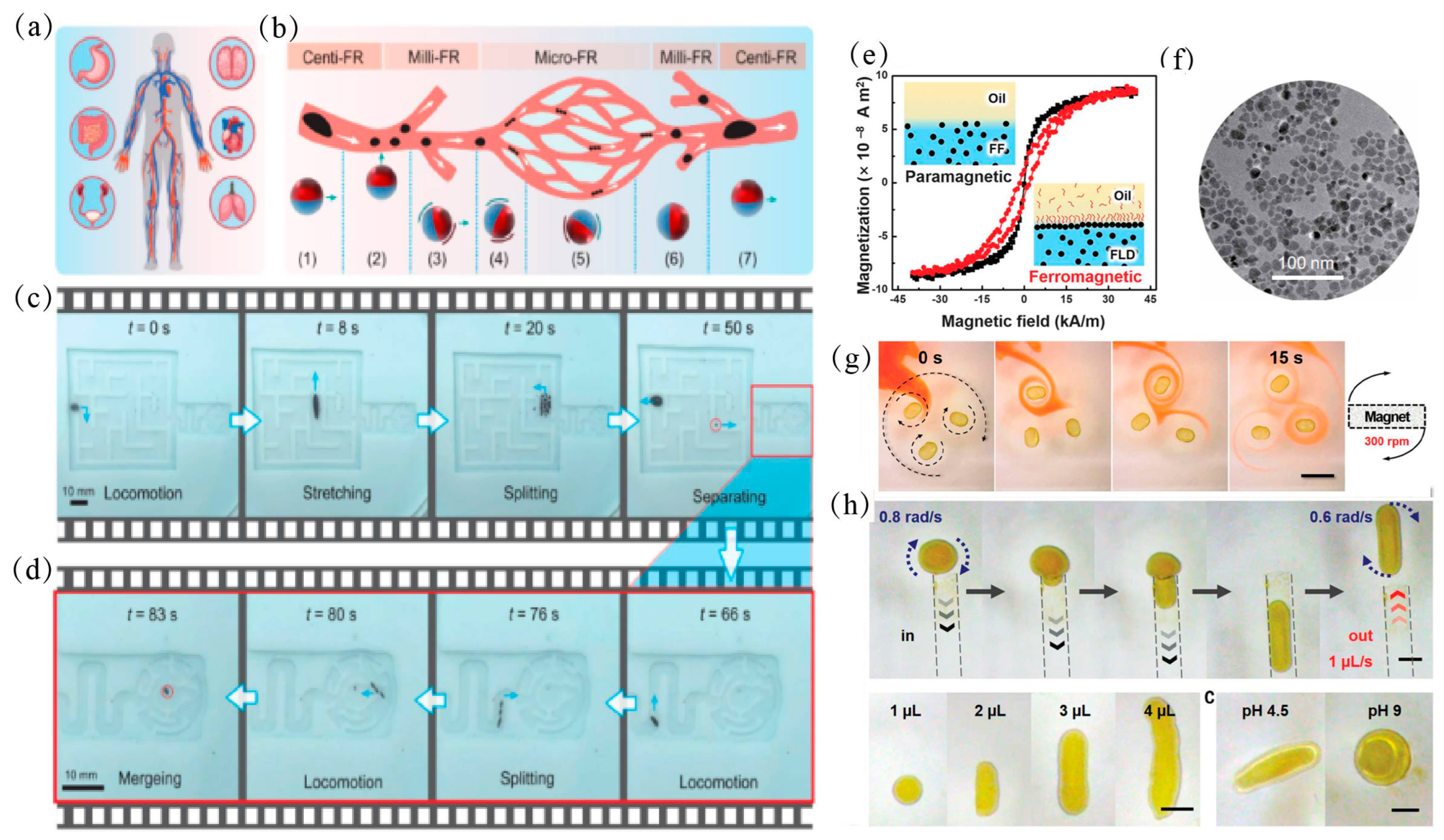 Magnetochemistry 09 00204 g002