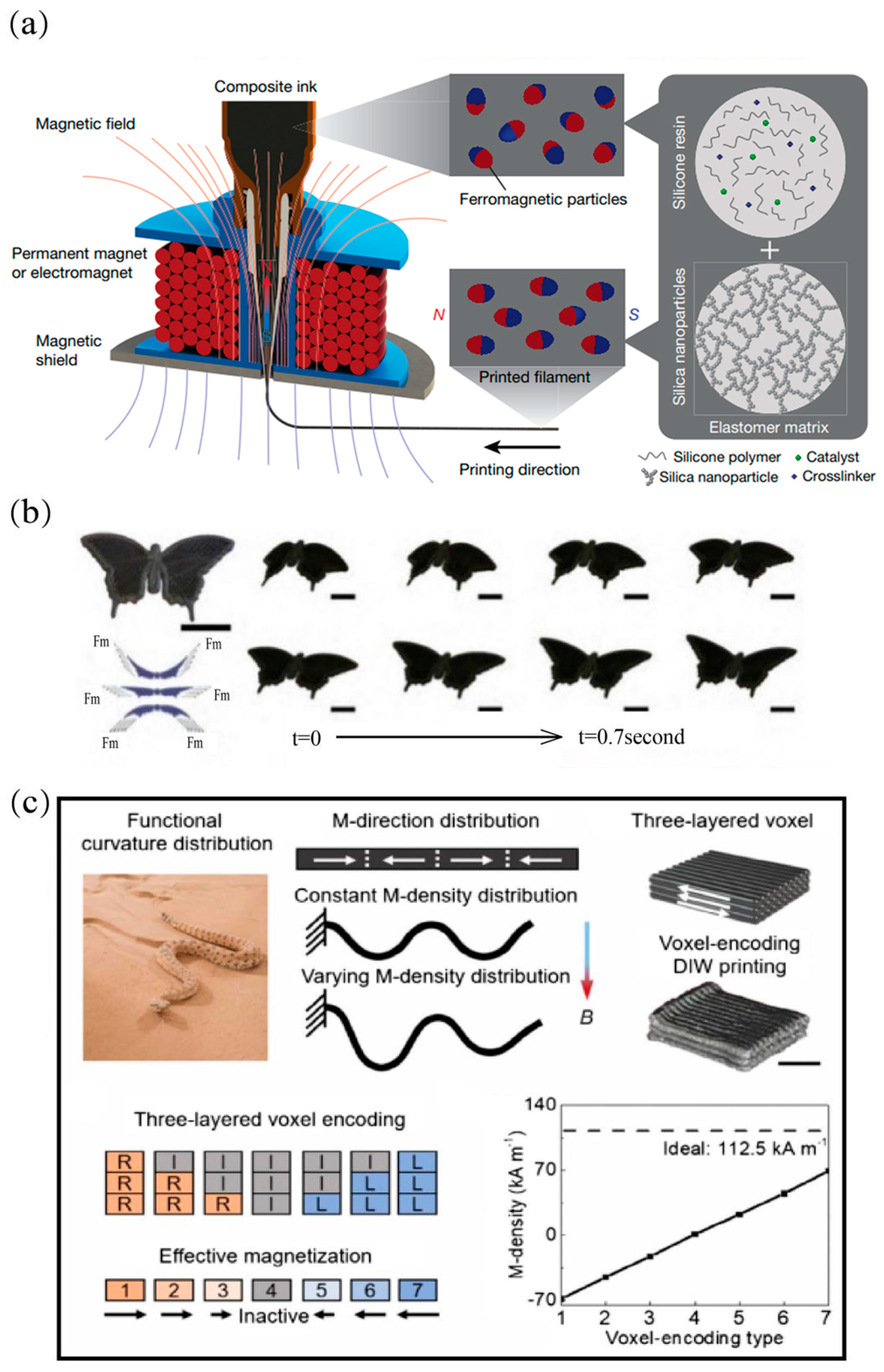 Magnetochemistry 09 00204 g005