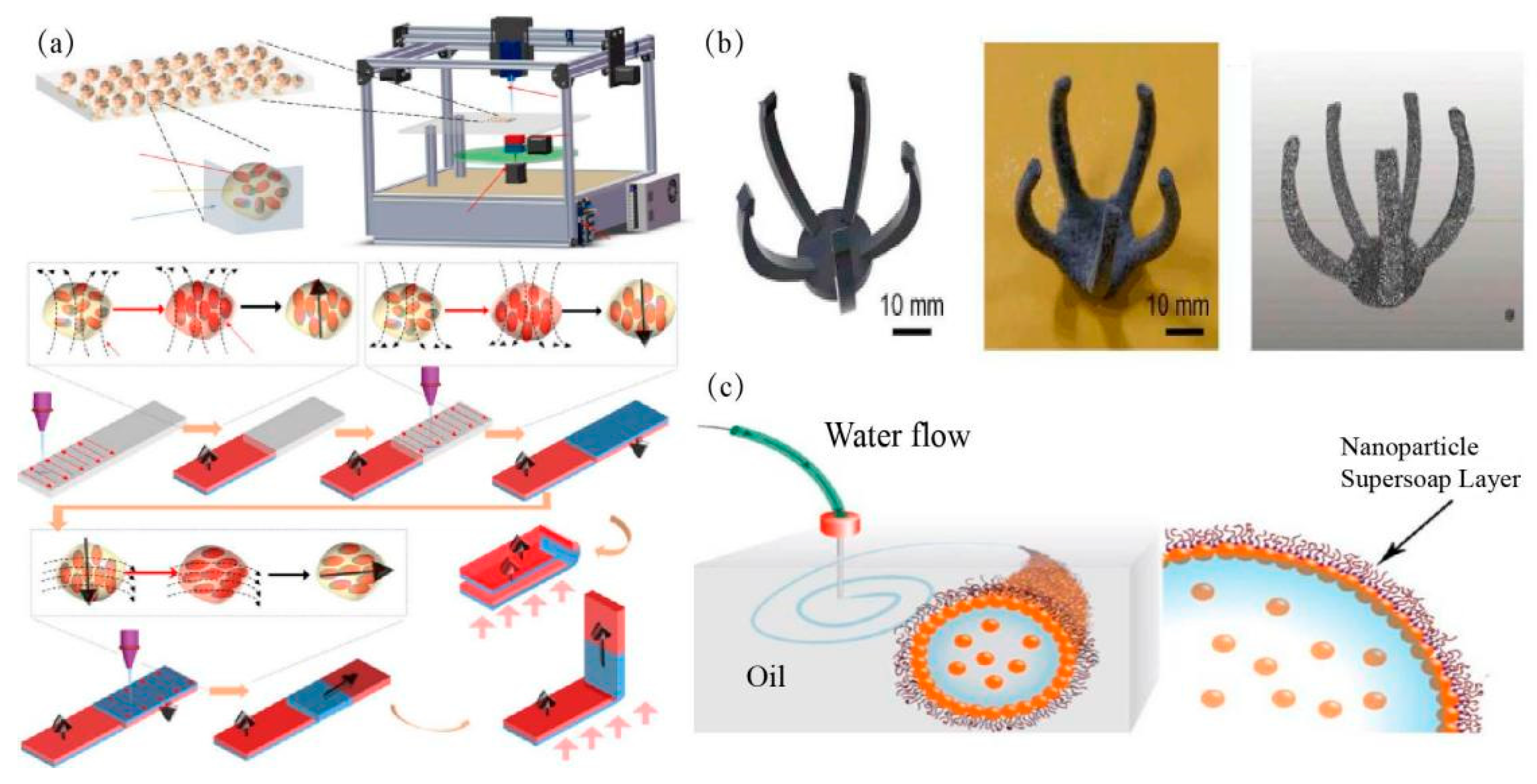 Magnetochemistry 09 00204 g006