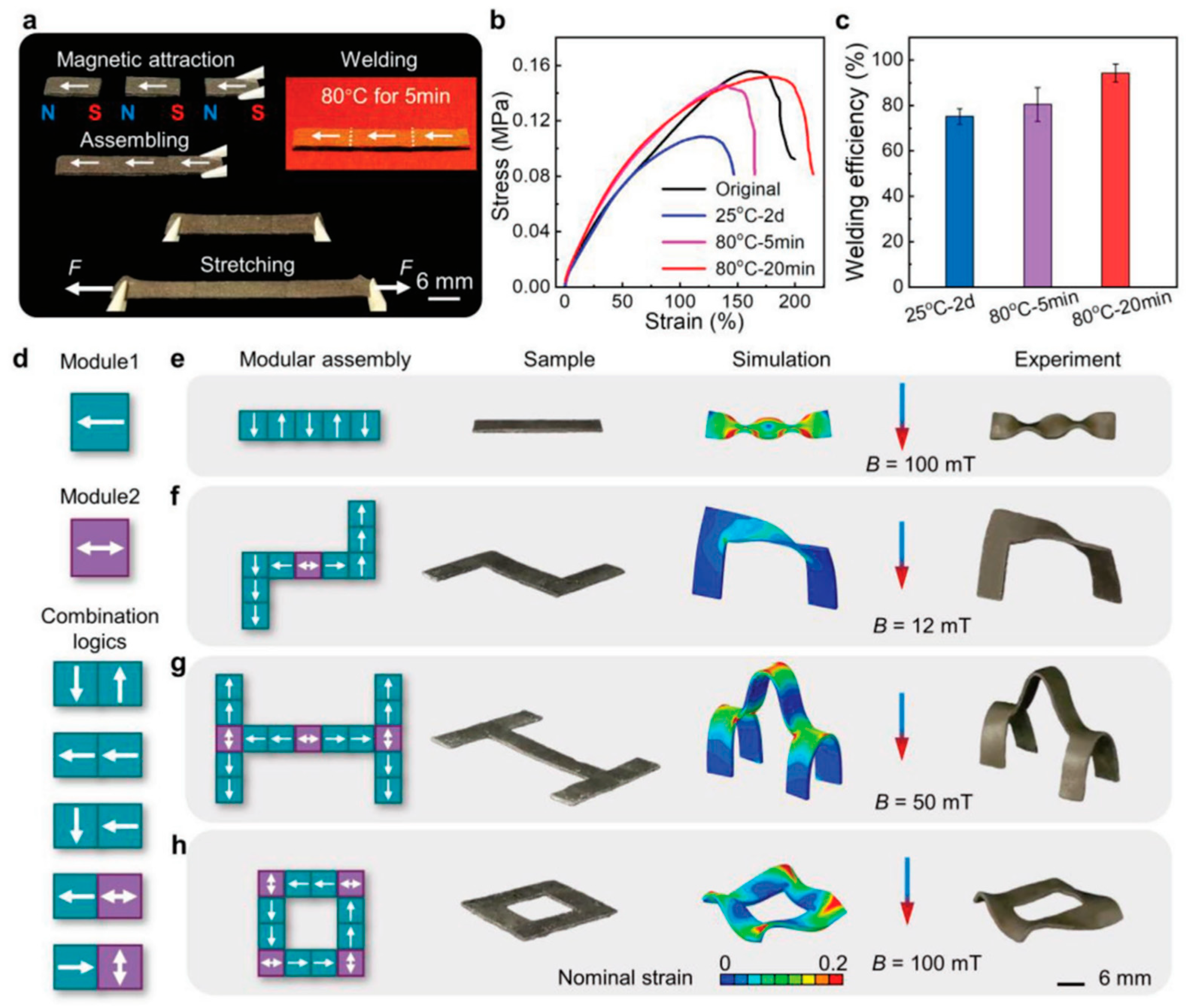 Magnetochemistry 09 00204 g009
