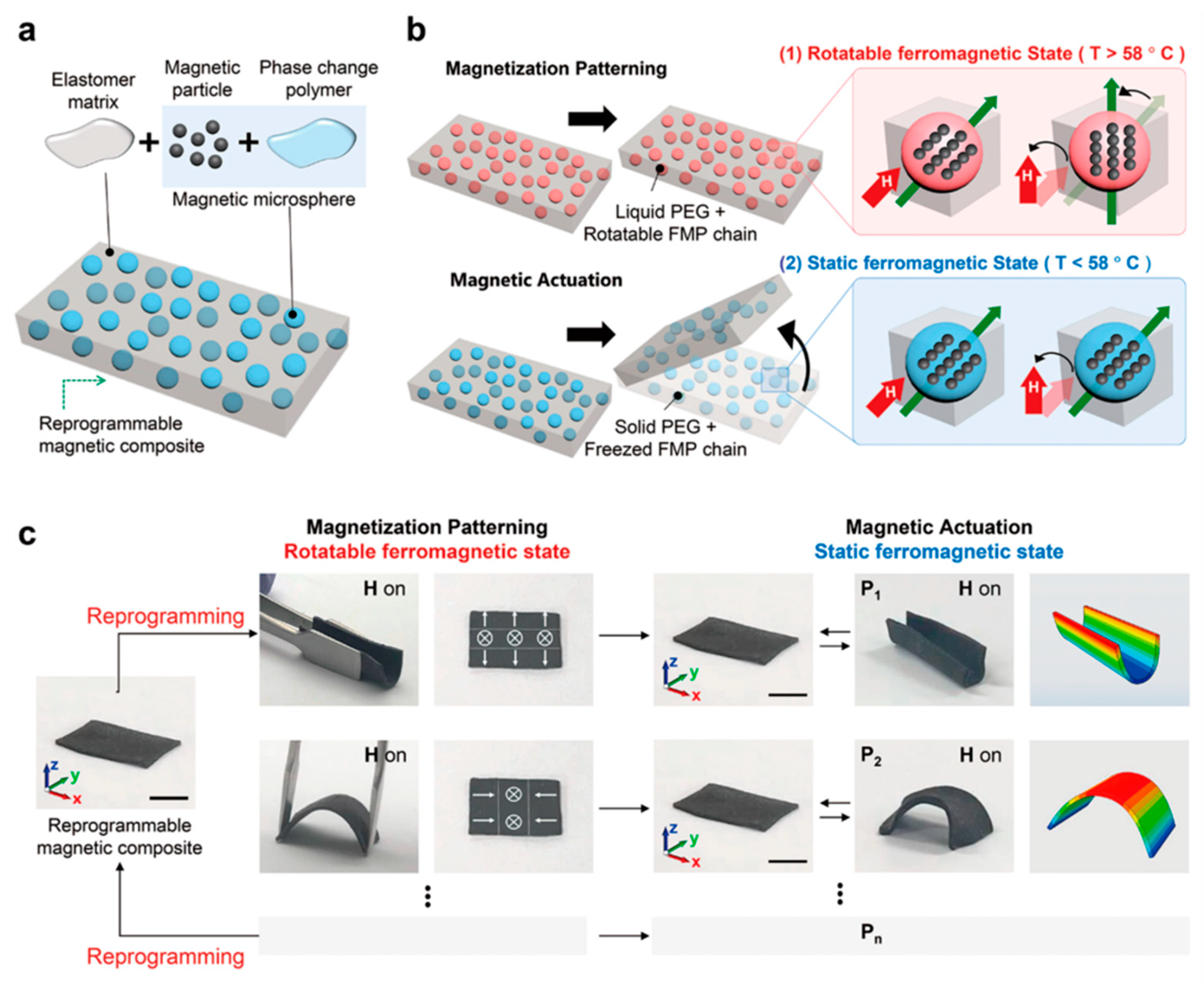 Magnetochemistry 09 00204 g010