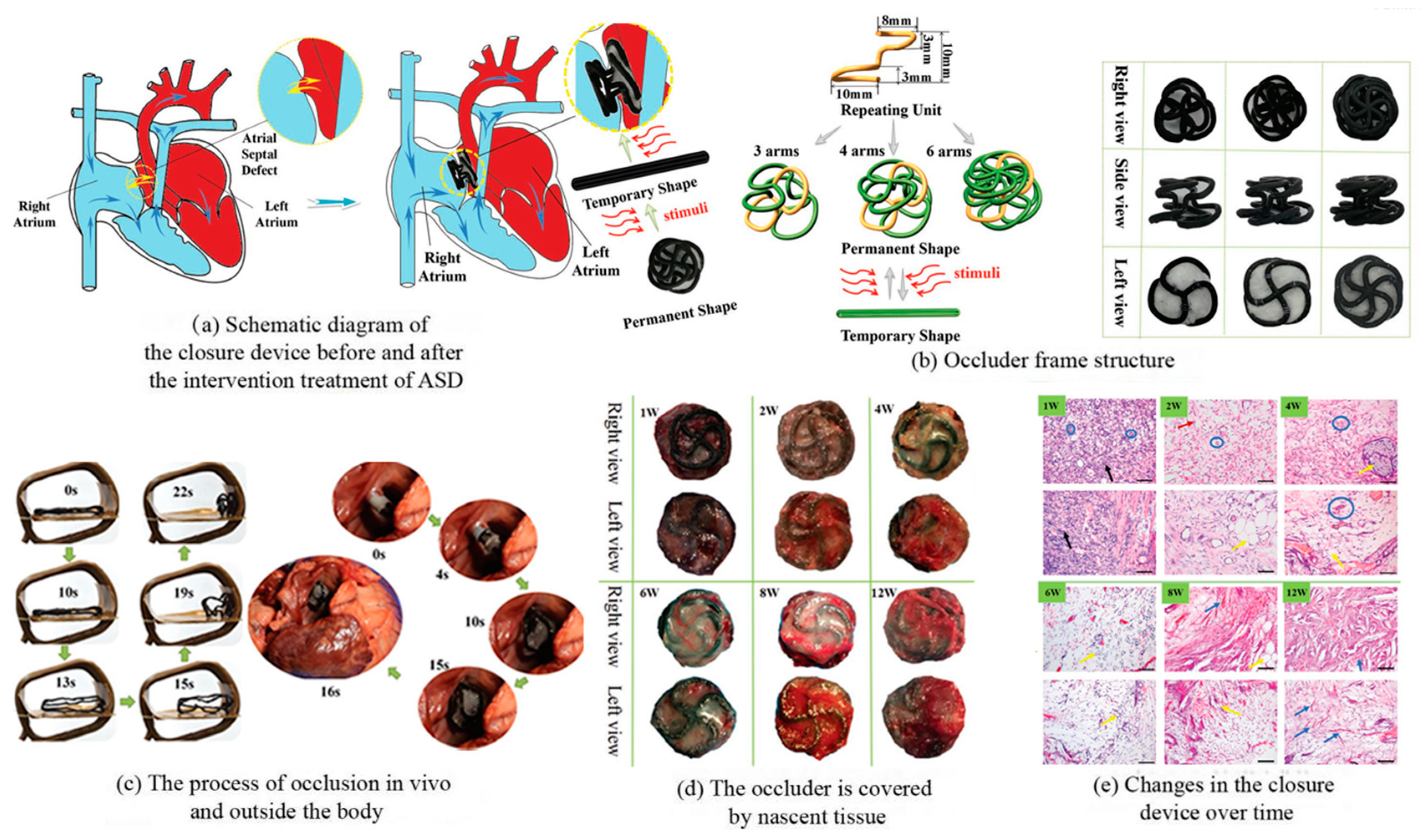 Magnetochemistry 09 00204 g011