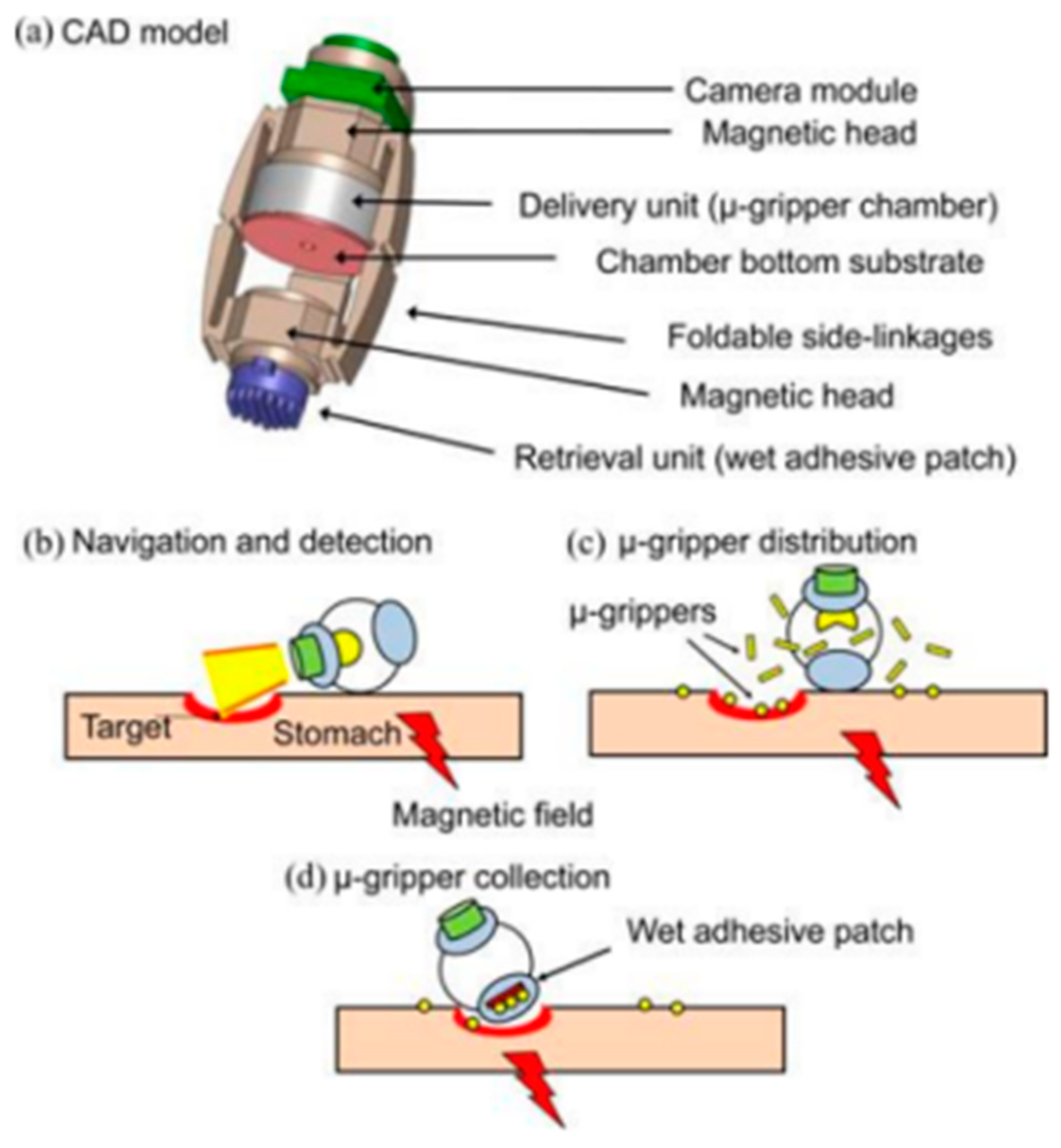 Magnetochemistry 09 00204 g012