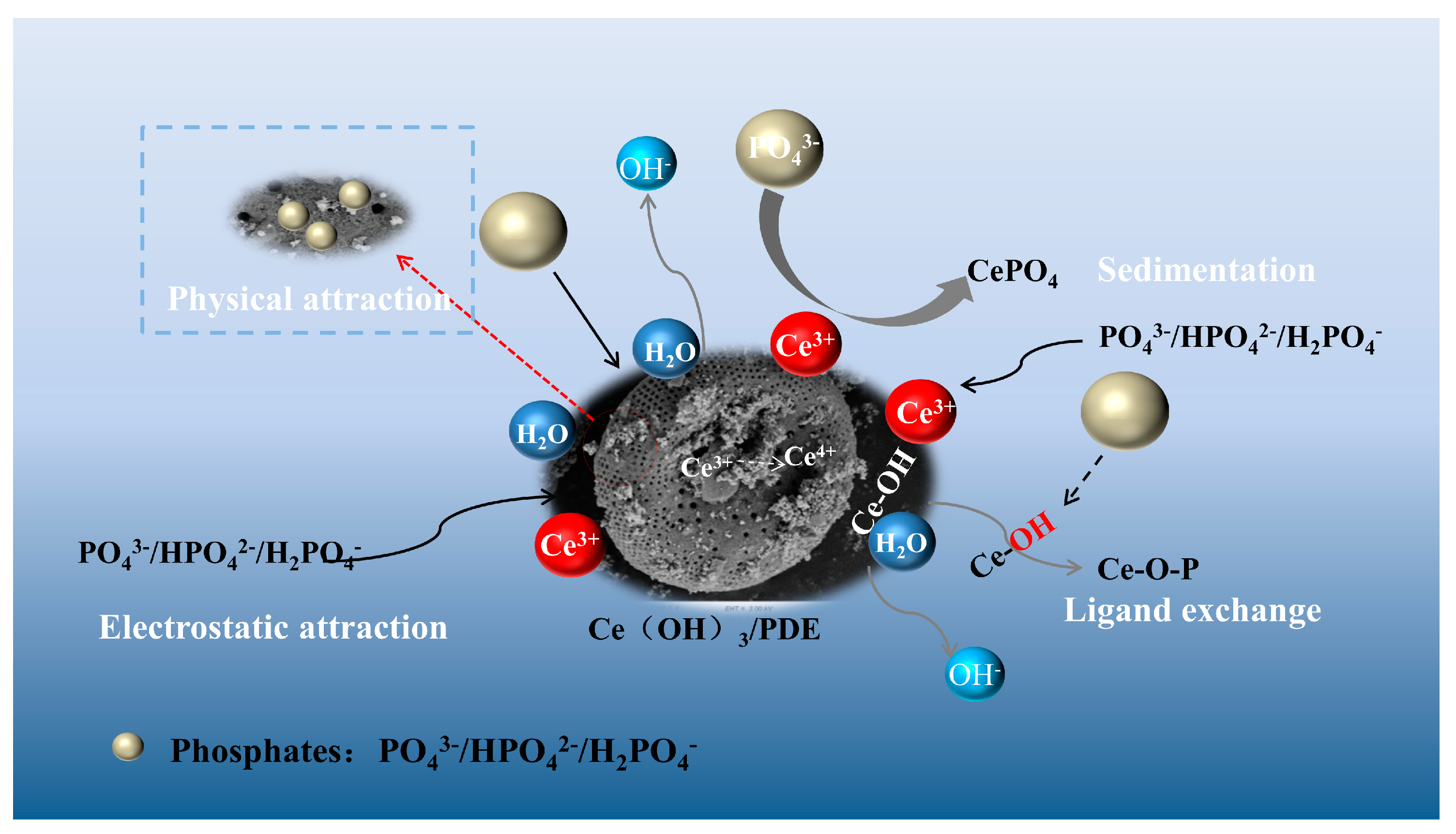 Magnetochemistry 10 00005 g012