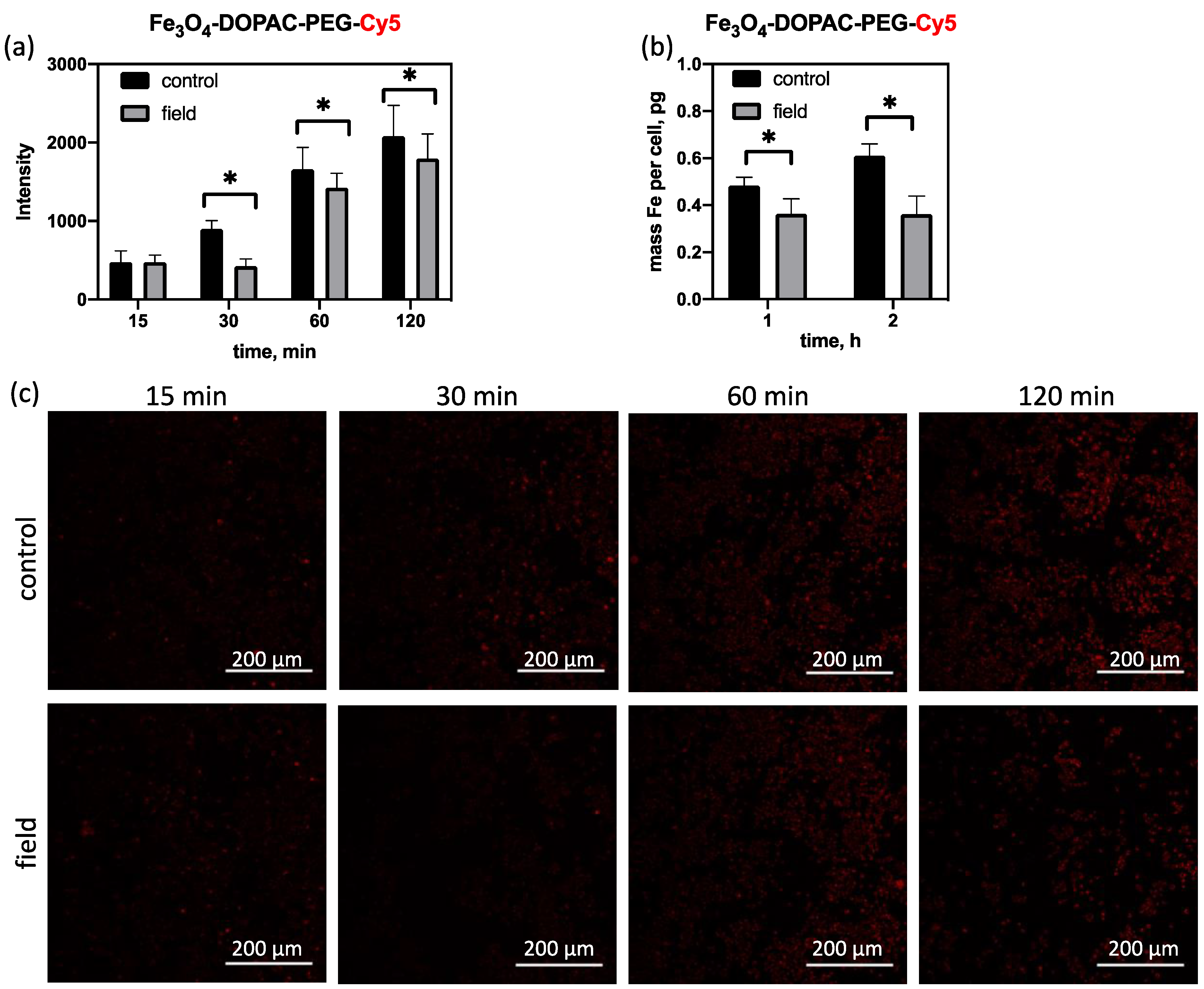 Magnetochemistry 10 00009 g003