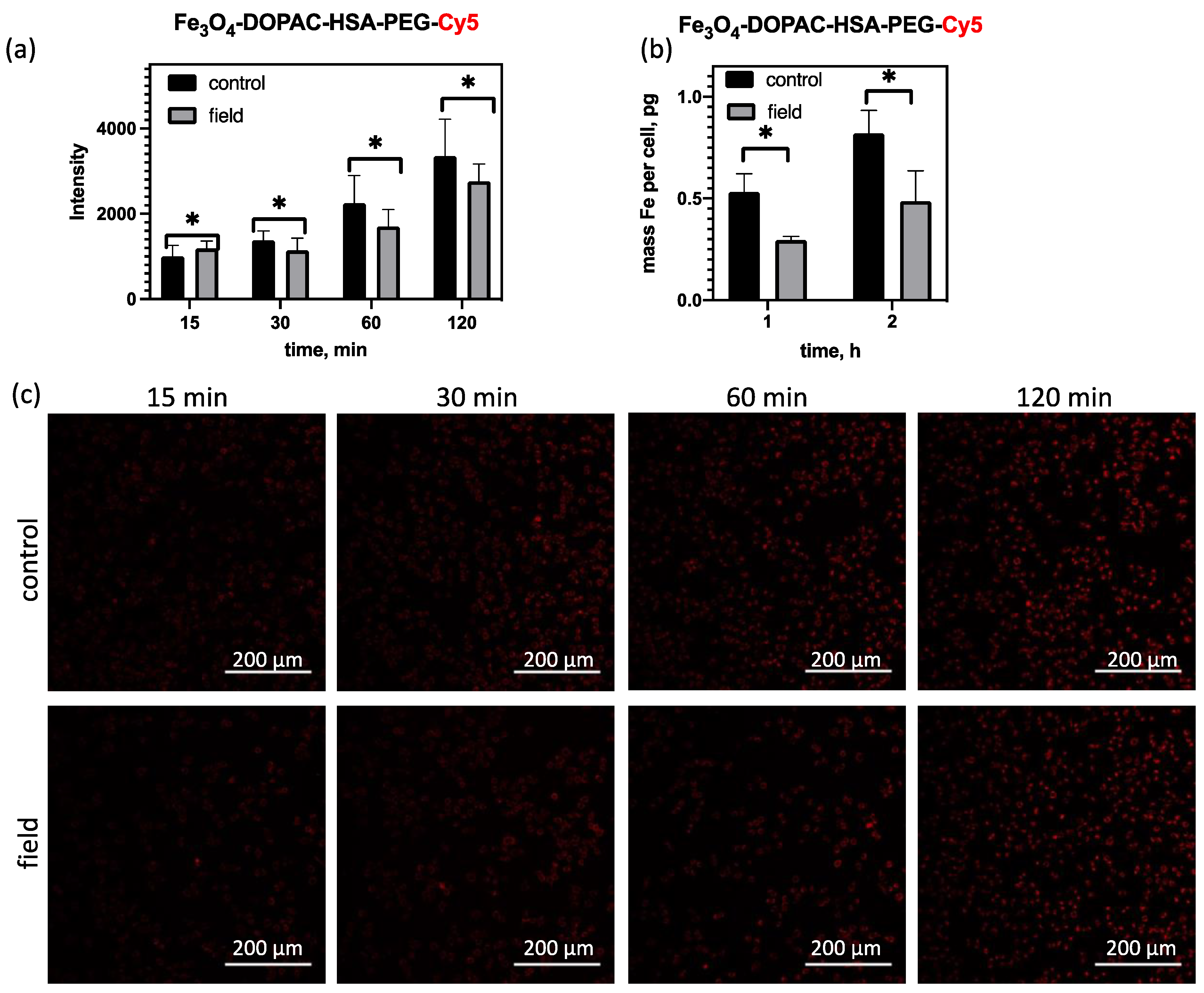 Magnetochemistry 10 00009 g004