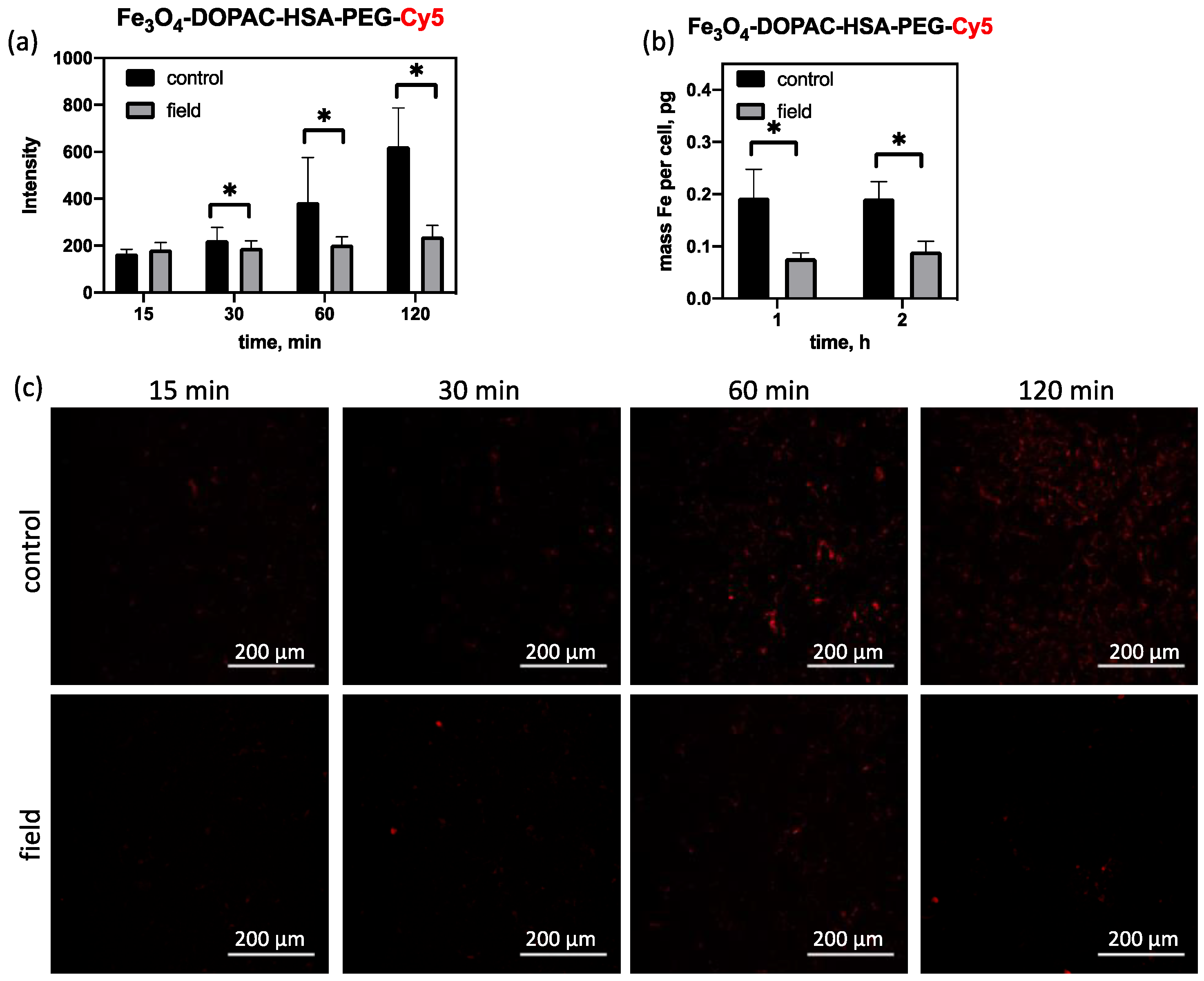 Magnetochemistry 10 00009 g006