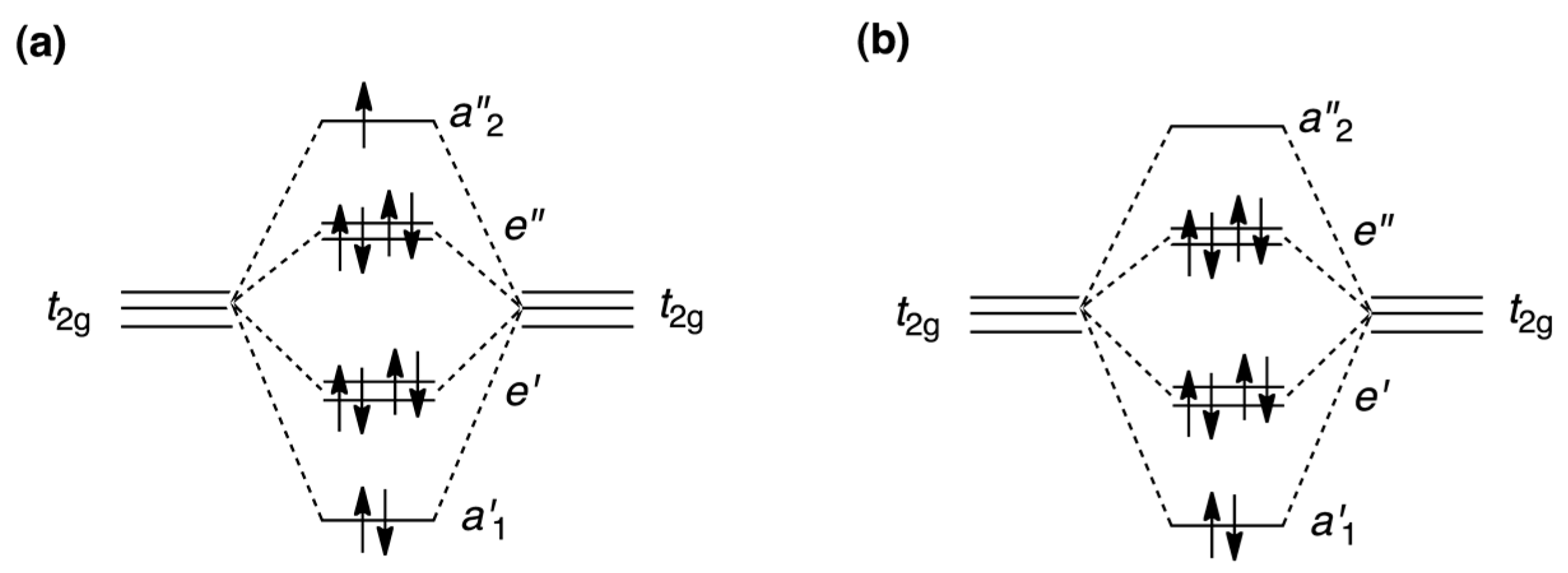 Magnetochemistry 10 00016 sch004 Magnetochemistry 10 00016 sch004