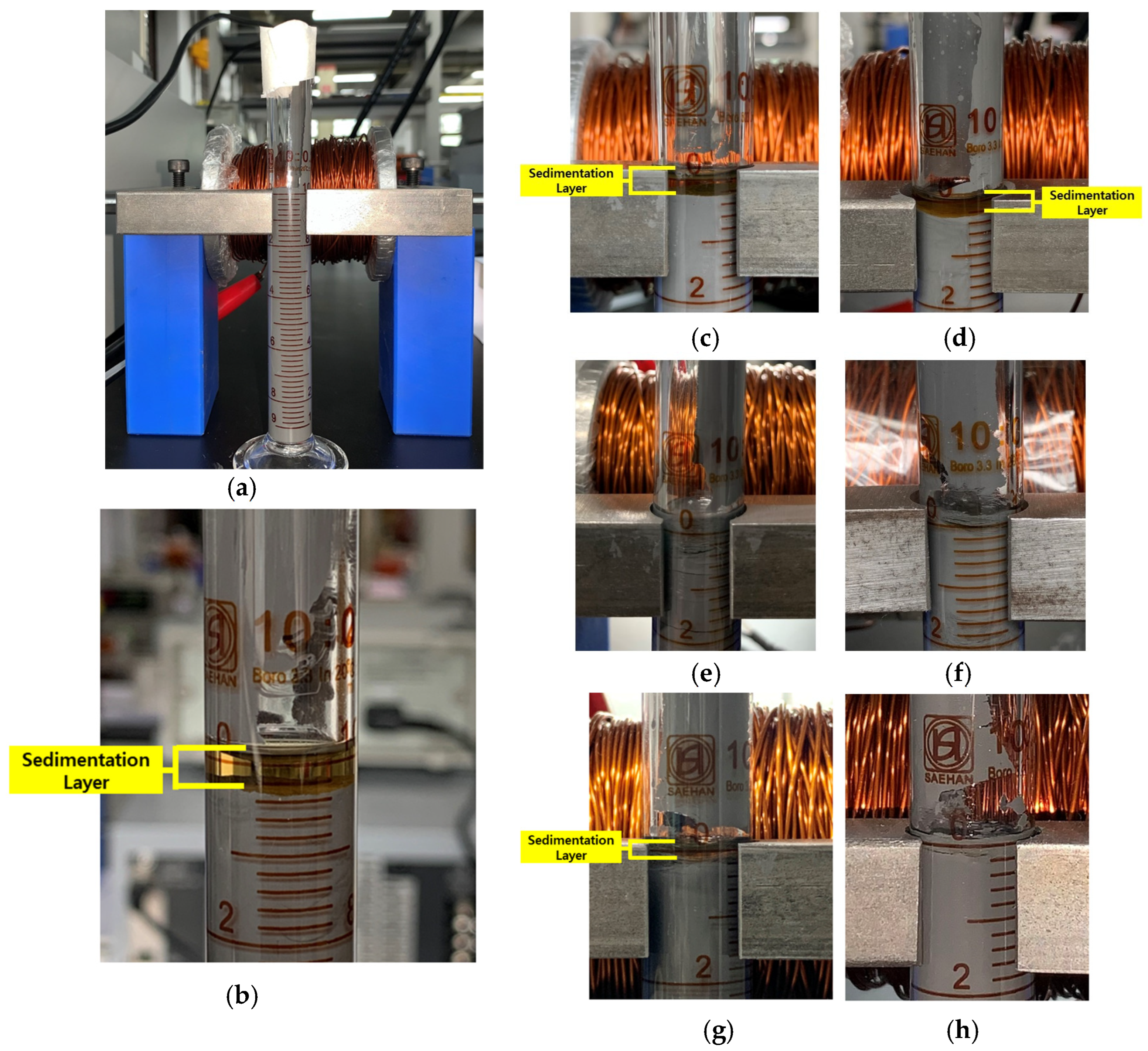 Magnetochemistry 10 00018 g010 Magnetochemistry 10 00018 g010