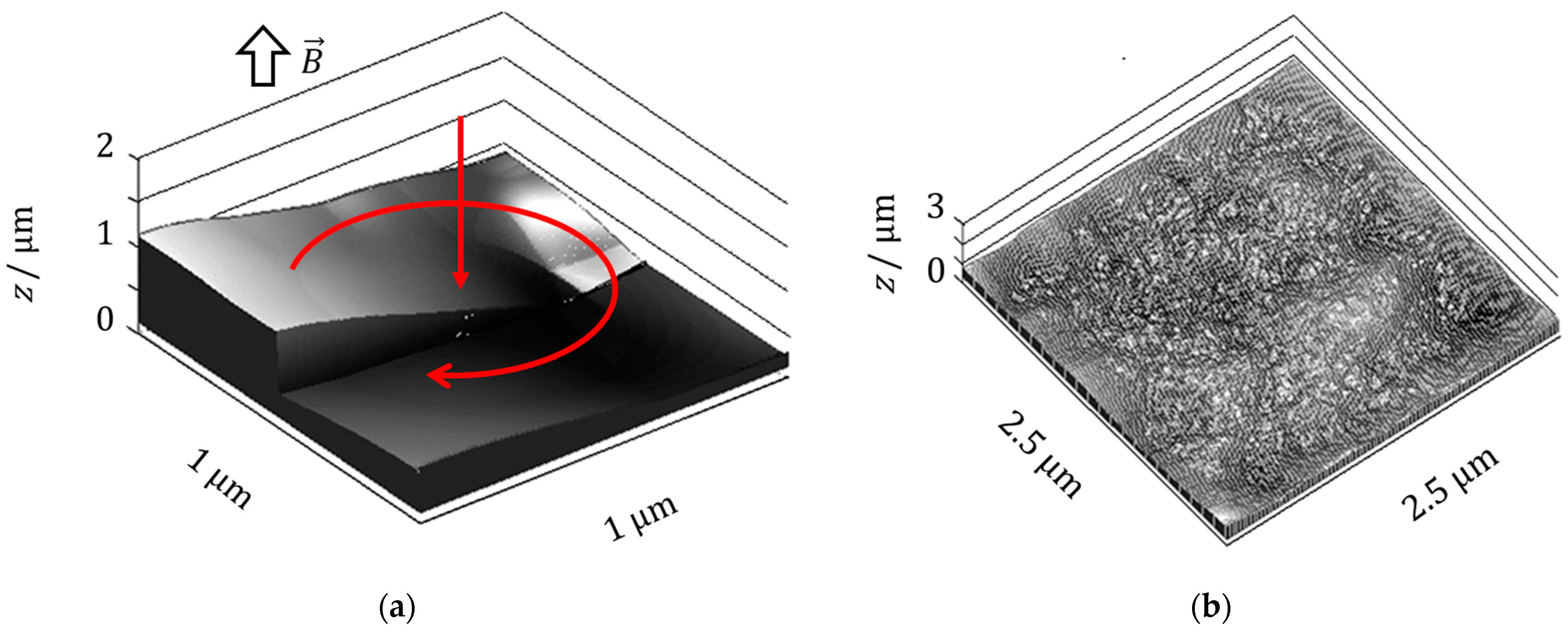 Magnetochemistry 10 00025 g010 Magnetochemistry 10 00025 g010