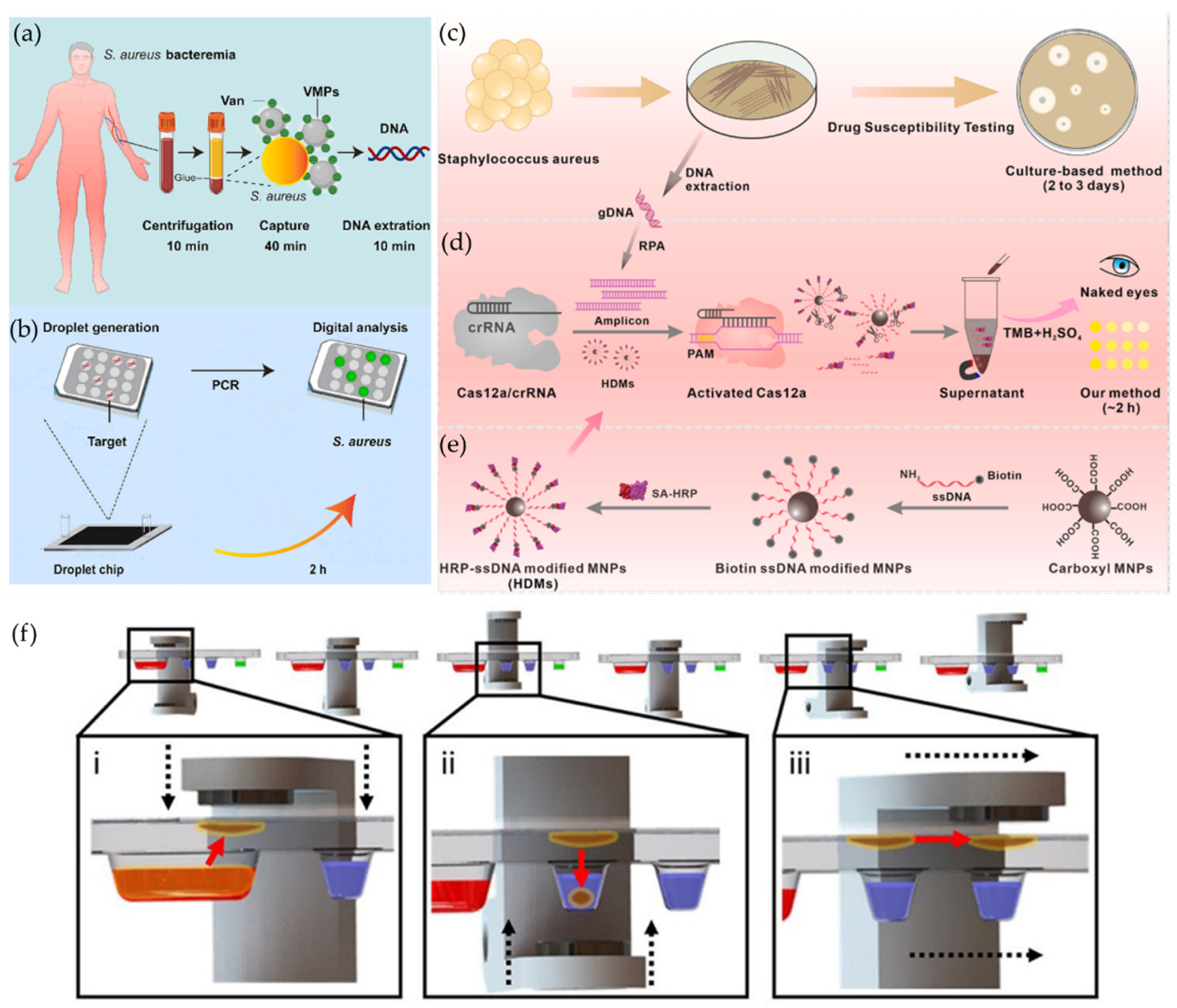 Magnetochemistry 10 00028 g007 Magnetochemistry 10 00028 g007