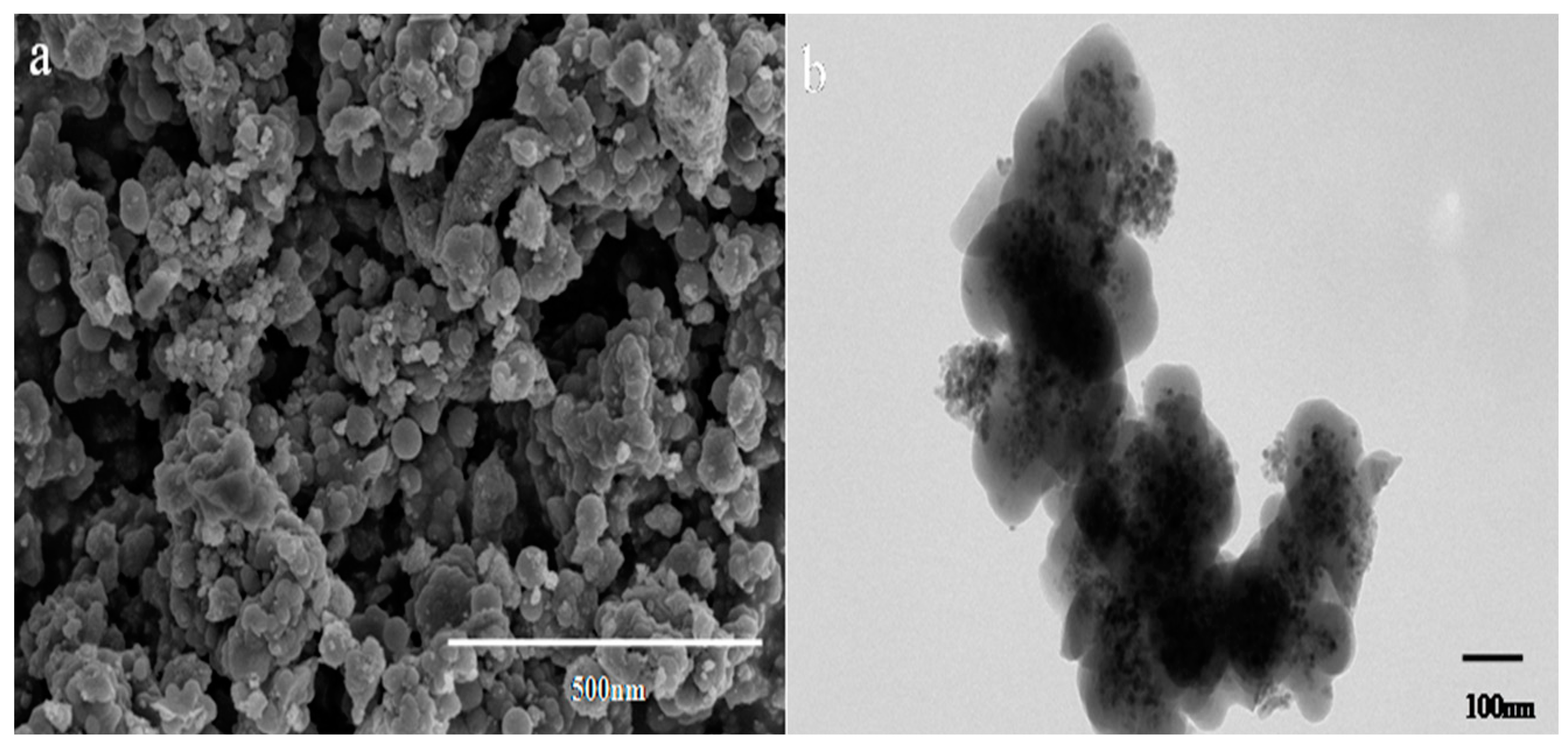 Magnetochemistry 10 00033 g005