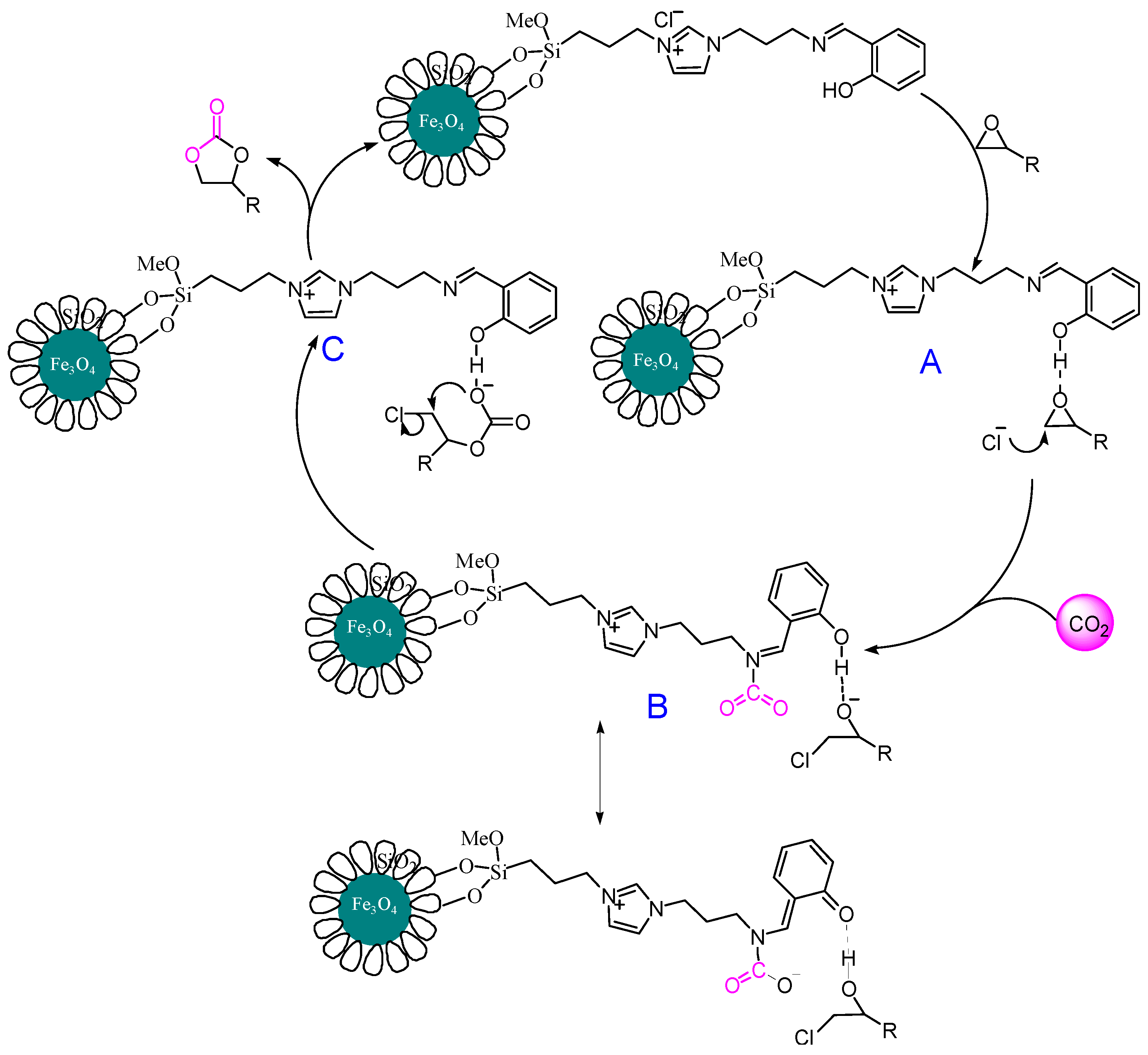 Magnetochemistry 10 00033 sch005