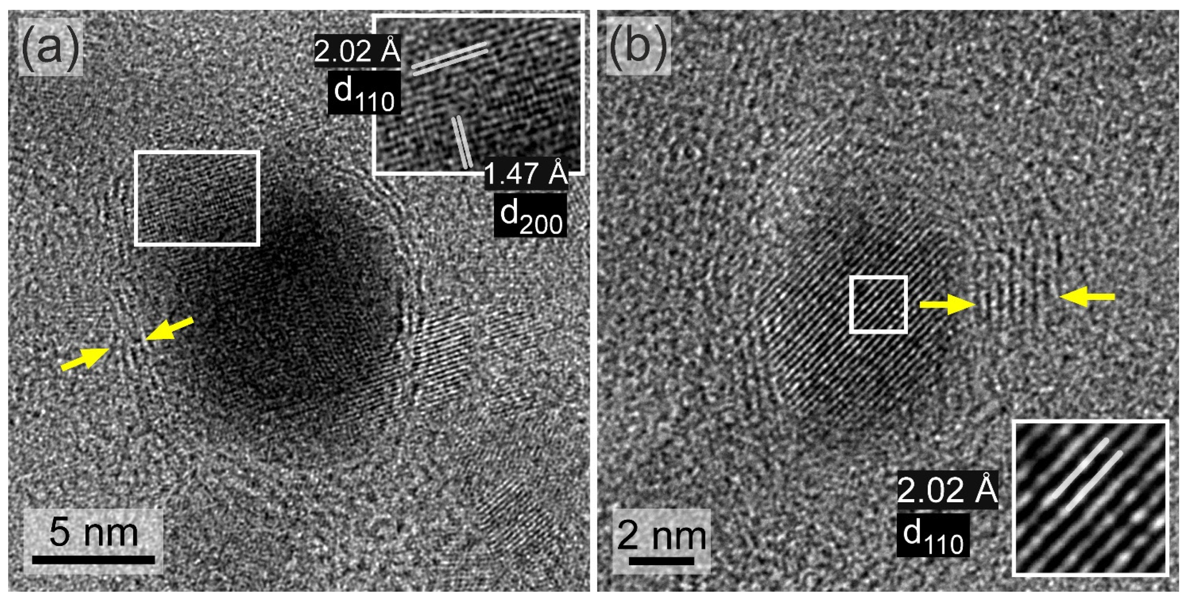 Magnetochemistry 10 00035 g005 Magnetochemistry 10 00035 g005