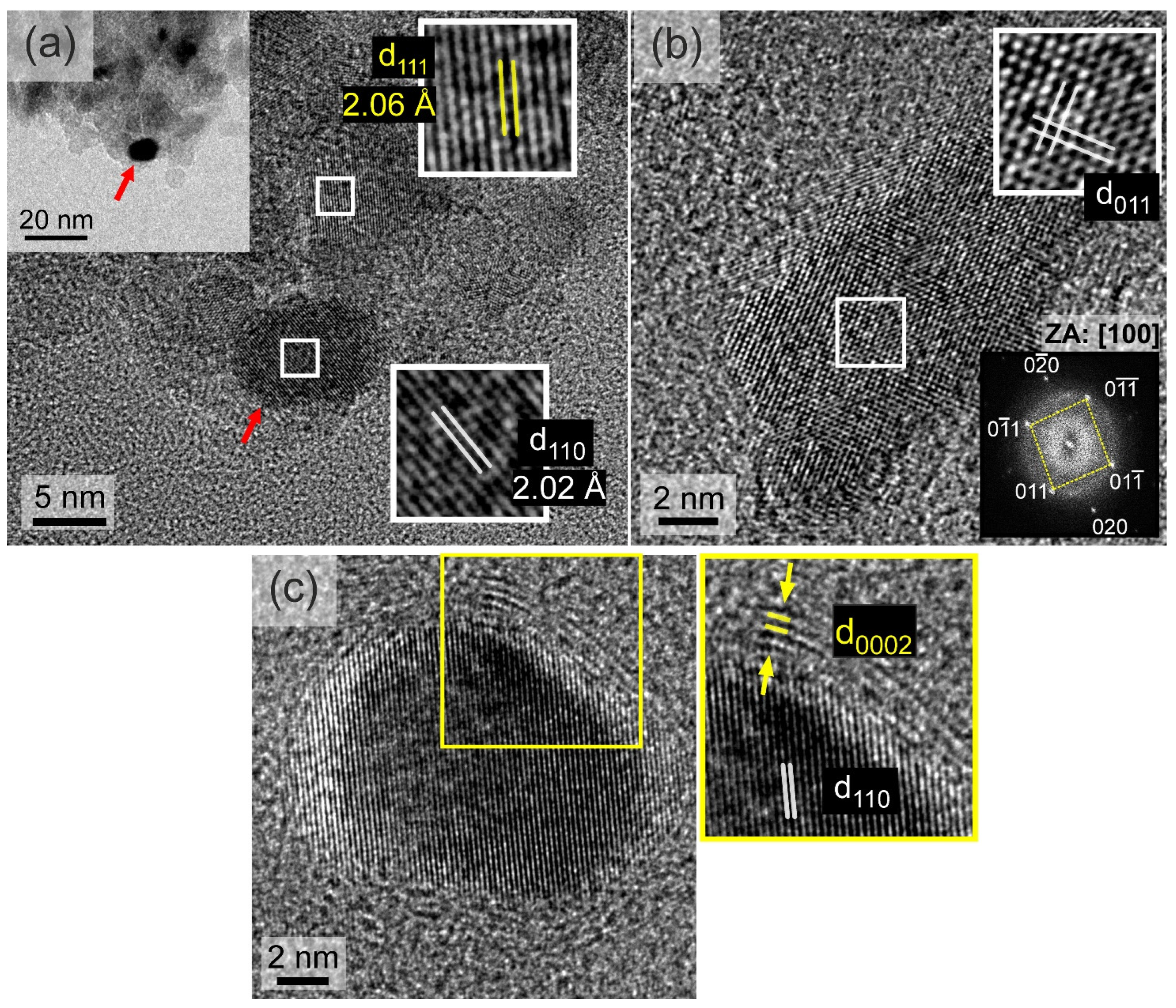 Magnetochemistry 10 00035 g008 Magnetochemistry 10 00035 g008