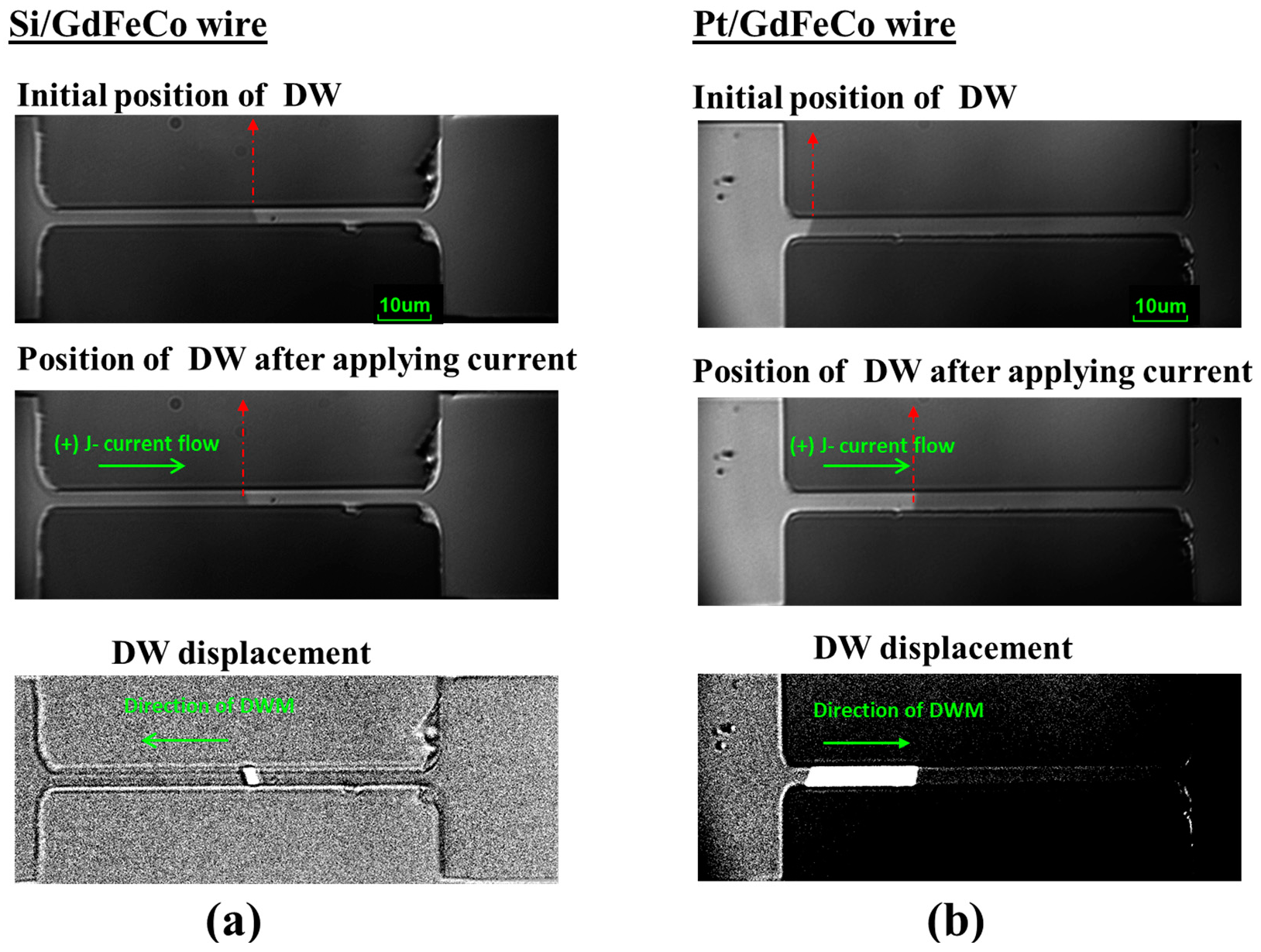 Magnetochemistry 10 00036 g003